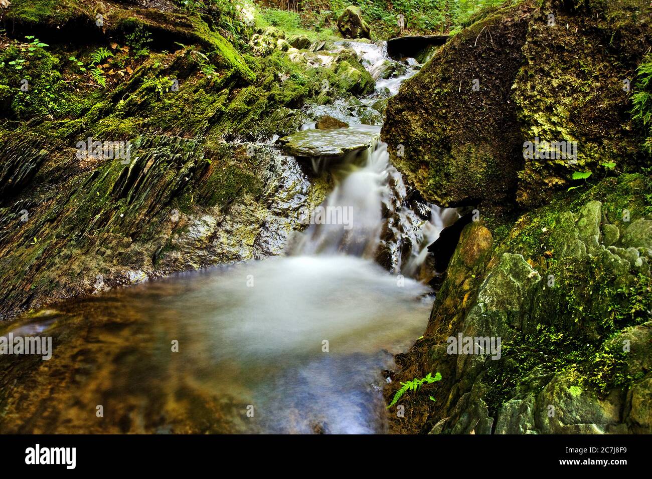 canyon Trail mit wildem Bach im Rothaargebirge, Deutschland, Nordrhein-Westfalen, Sauerland, Winterberg Stockfoto