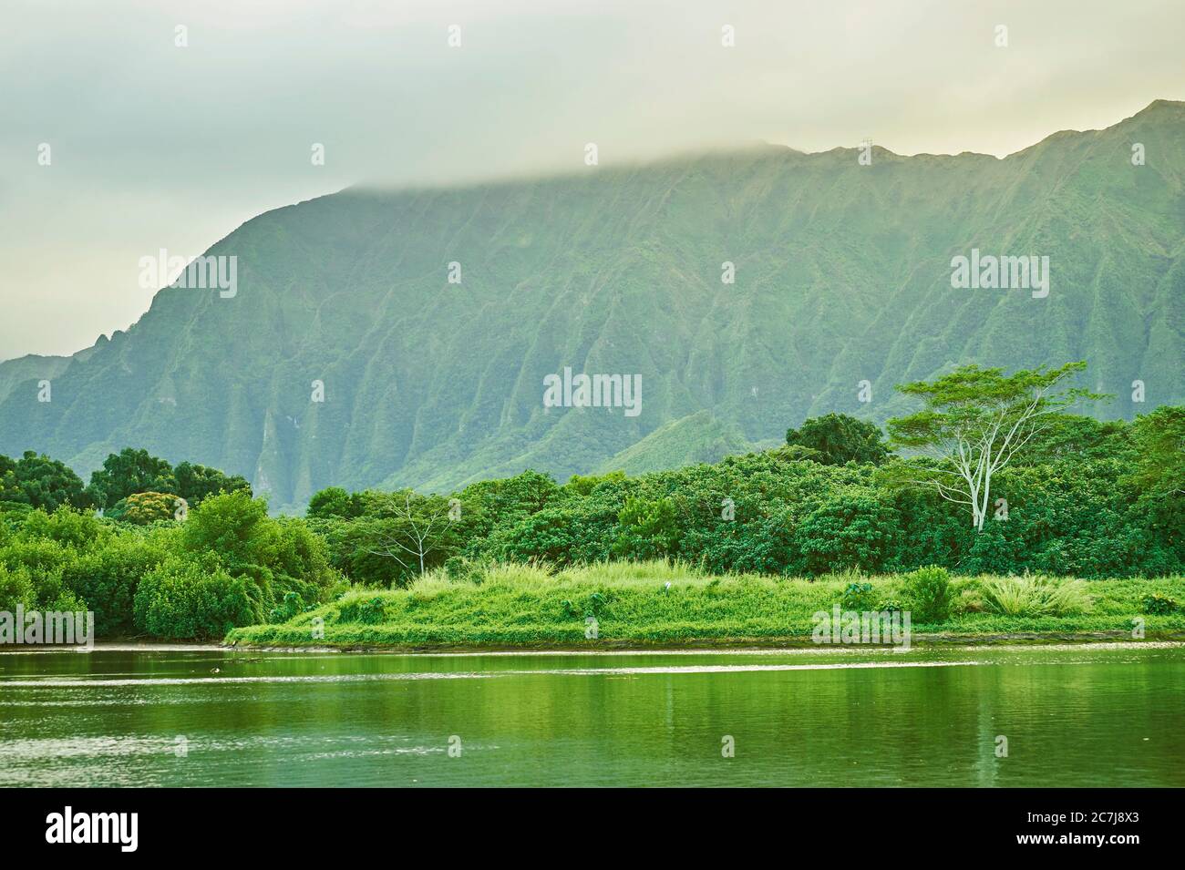 Strom im Kahaluu Regional Park, USA, Hawaii, Oahu Stockfoto