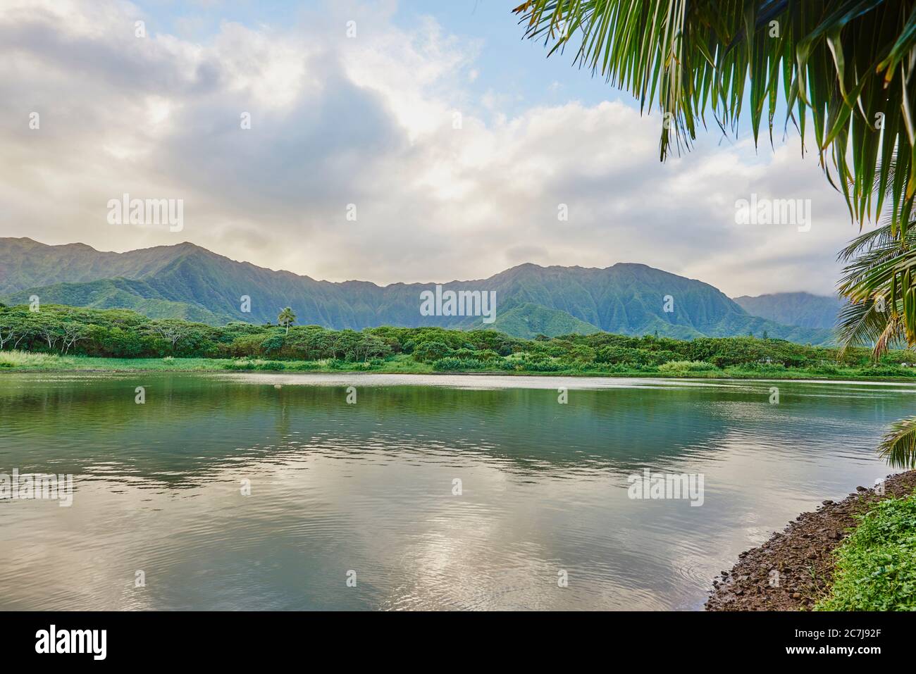 Kahaluu Regional Park, USA, Hawaii, Oahu Stockfoto