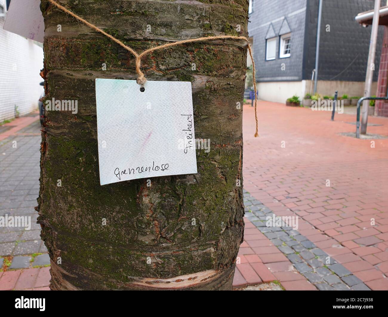 schild an einem Straßenbaum Schriftzug unbegrenzte Freiheit, Deutschland Stockfoto