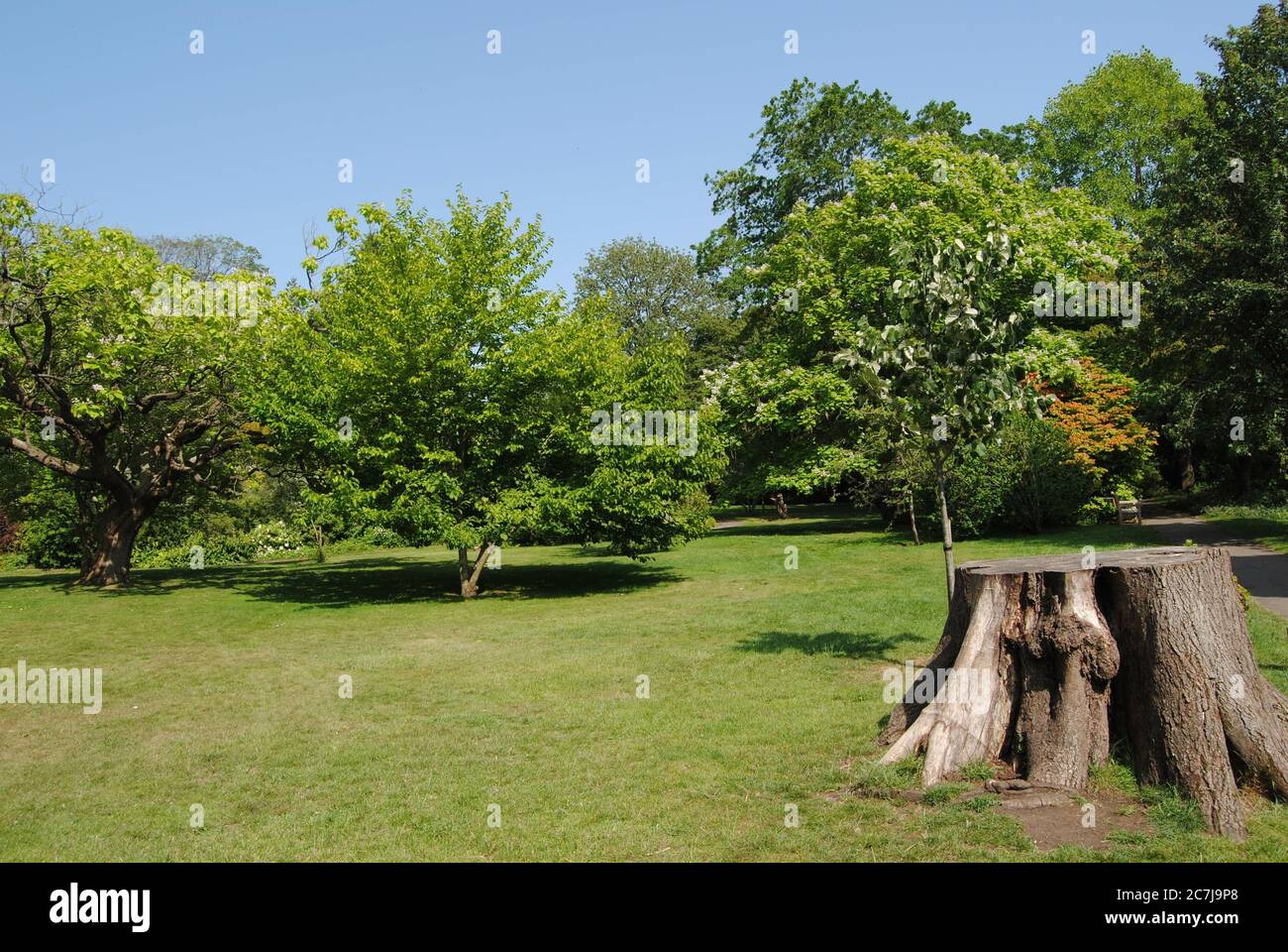 BATH, ENGLAND, VEREINIGTES KÖNIGREICH - Jul 10, 2019: The Botanical Gardens, Royal Victoria Park, Bath, England. 10. Juli 2019. Die Gärten wurden 1887 gegründet Stockfoto