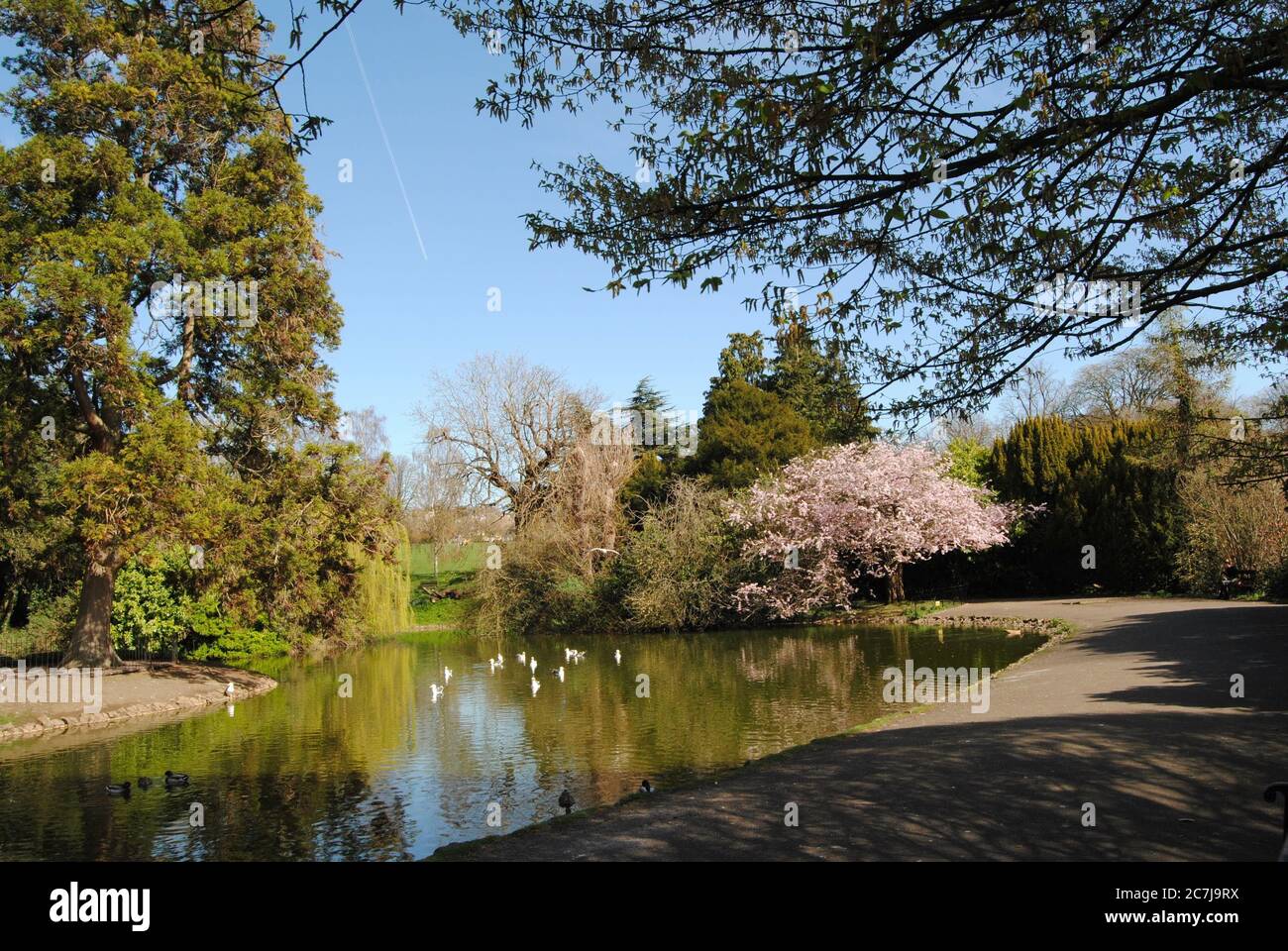 BATH, ENGLAND, VEREINIGTES KÖNIGREICH - Mar 25, 2019: The Botanical Gardens, Royal Victoria Park, Bath, England. März 25 2019. Die Gärten wurden 188 gegründet Stockfoto