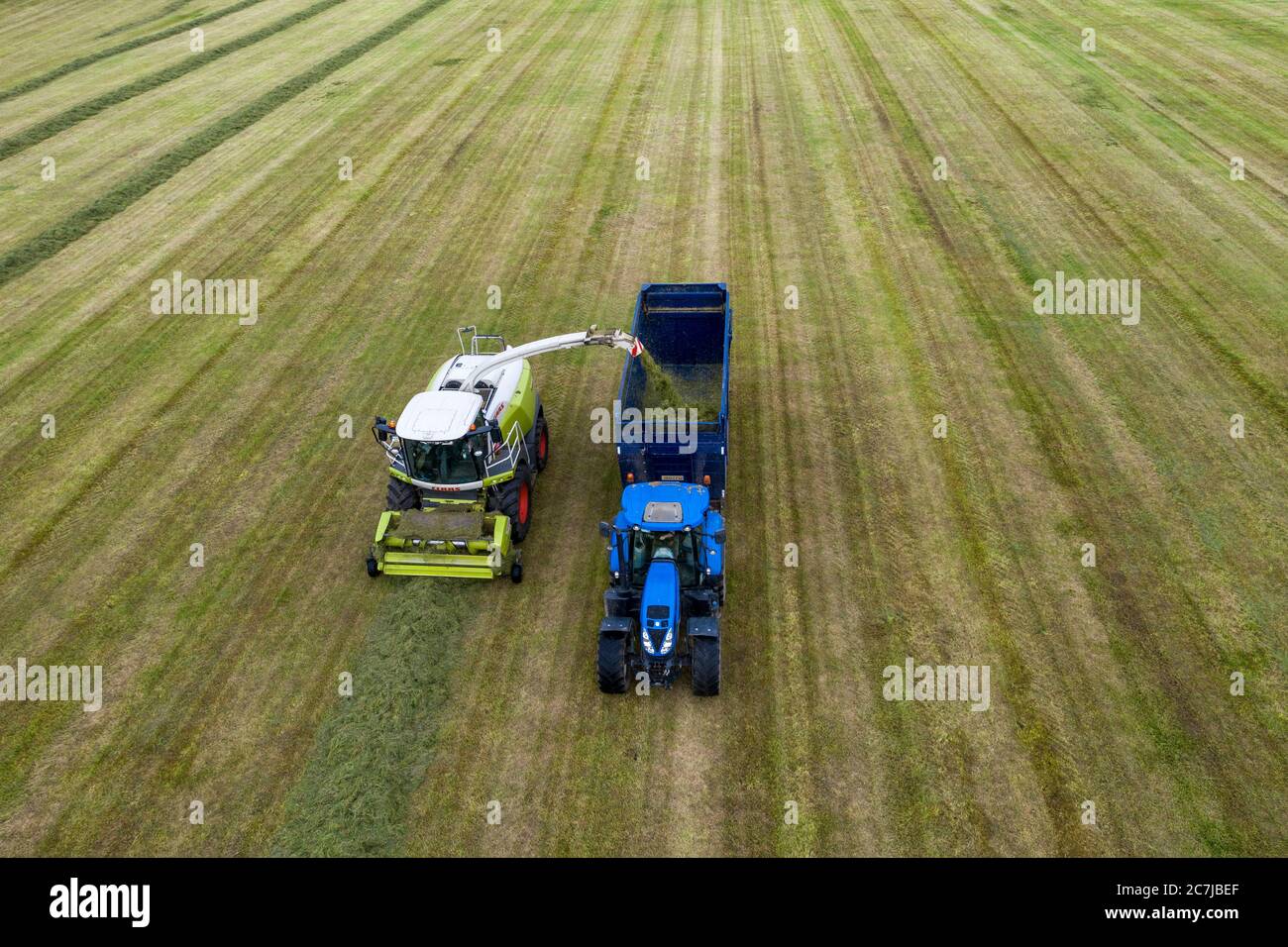 Luftdrohnenaufnahme der Silageernte mit dem selbstfahrenden Mähdrescher der Klasse Jaguar 970 im ländlichen County Kildare, Irland Stockfoto