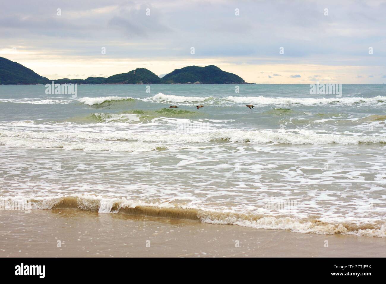 Schwarm von Möwen fliegen über das Meer in Pontal do Parana, Brasilien Stockfoto