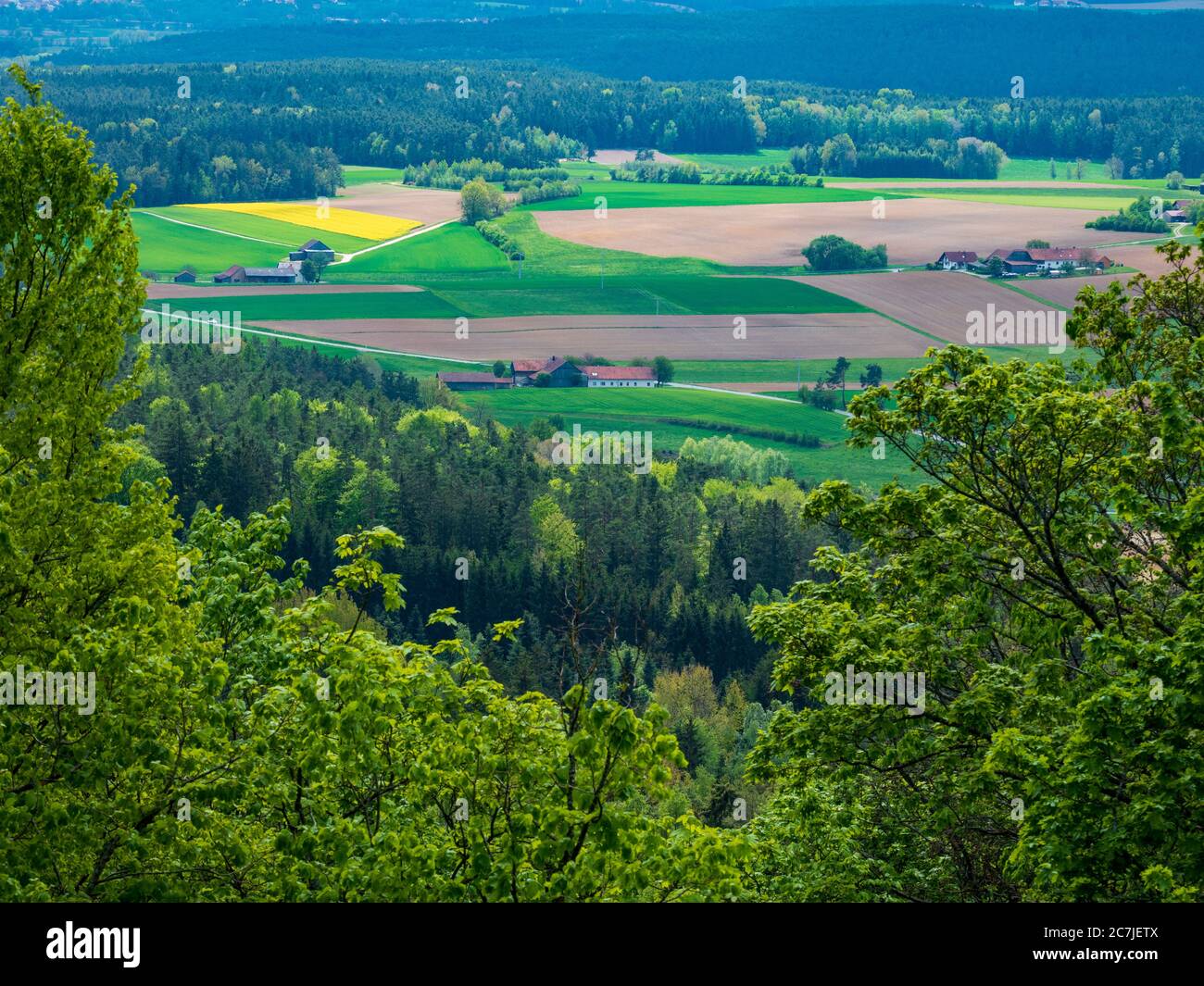 Blick von der Burgruine Kürnberg, Bayerischer Wald, Bayern, Deutschland Stockfoto