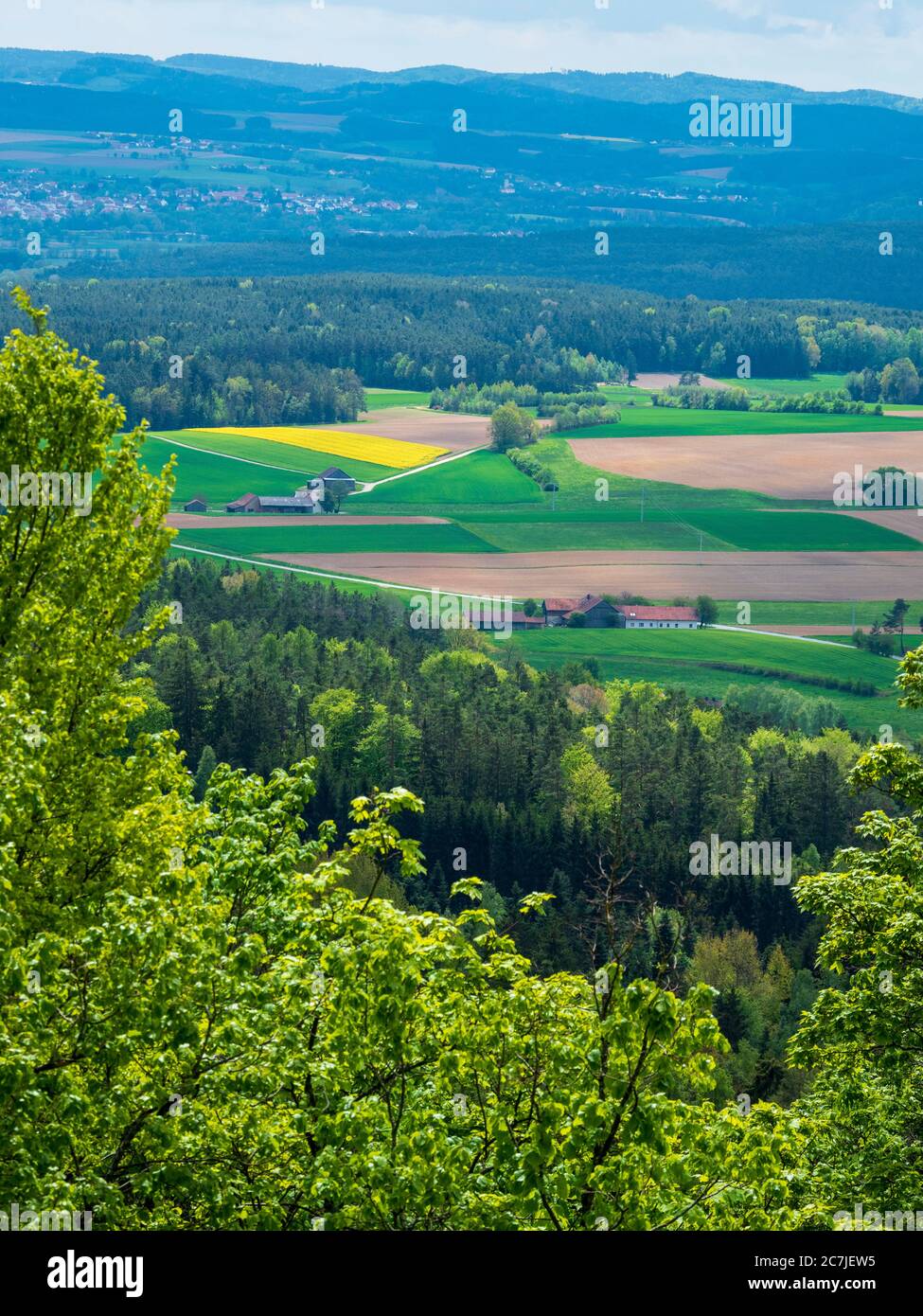 Blick von der Burgruine Kürnberg, Bayerischer Wald, Bayern, Deutschland Stockfoto