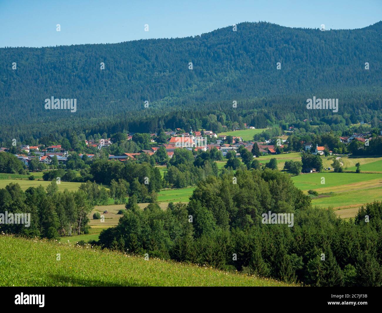 Blick auf Arnbruck, Bayerischer Wald, Bayern, Deutschland Stockfoto