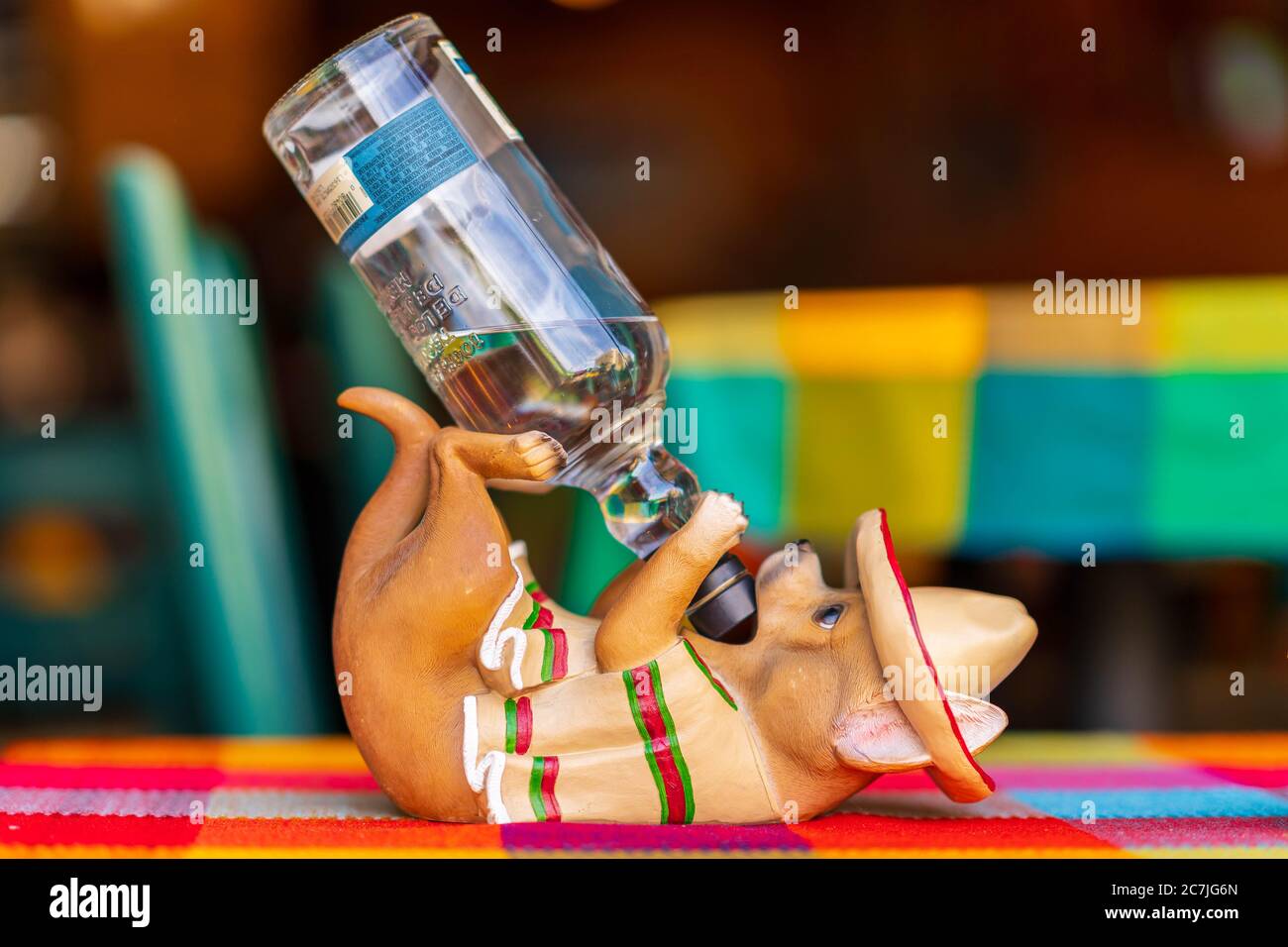 Entzückende Chihuahua Figur mit einem mexikanischen Sombrero und Poncho Alkohol trinken. Stockfoto