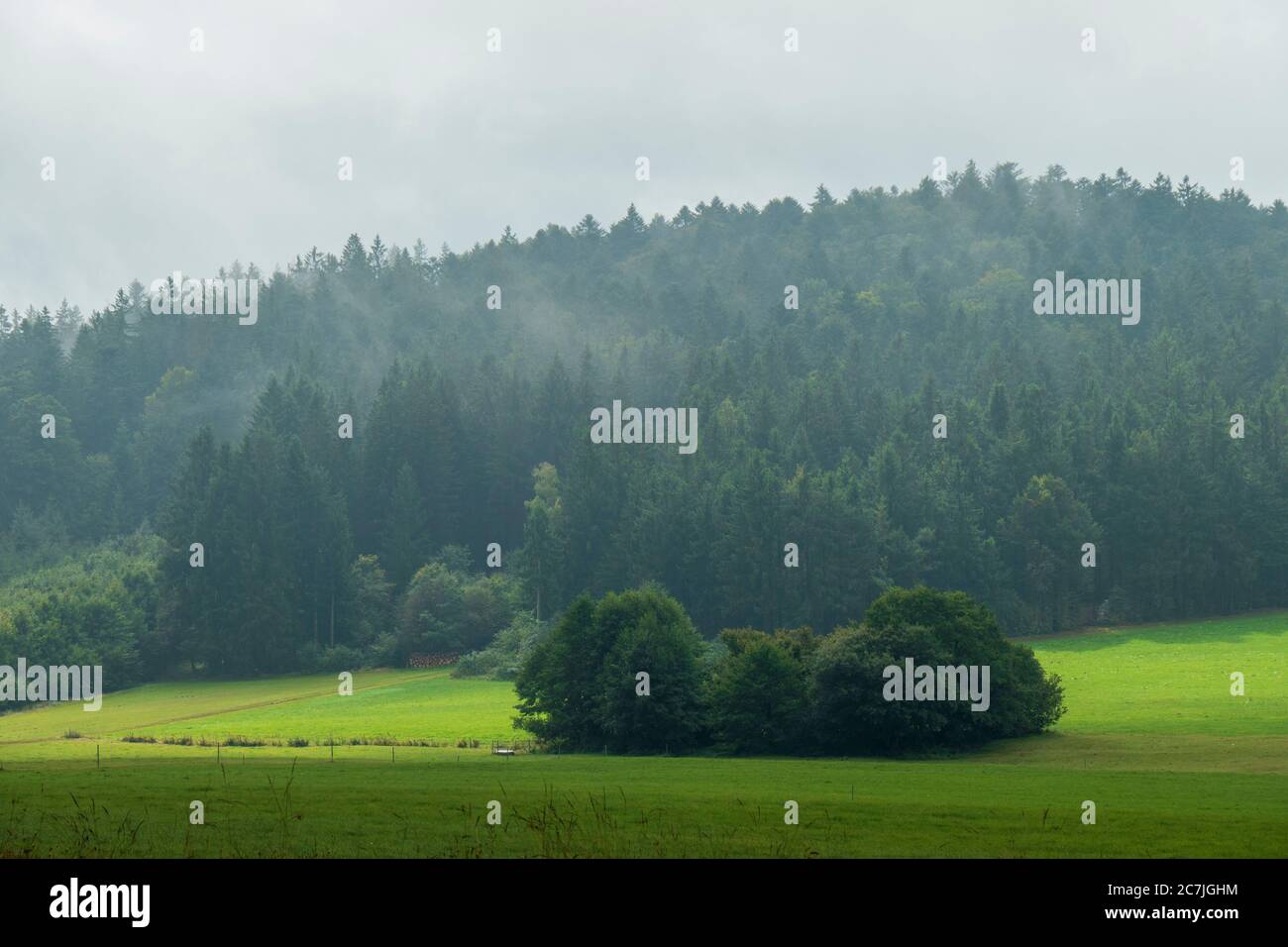 Landschaft und Wald, bei Reischlhof zwischen Sonnen und Wegscheid, Bayerischer Wald, Bayern, Deutschland Stockfoto
