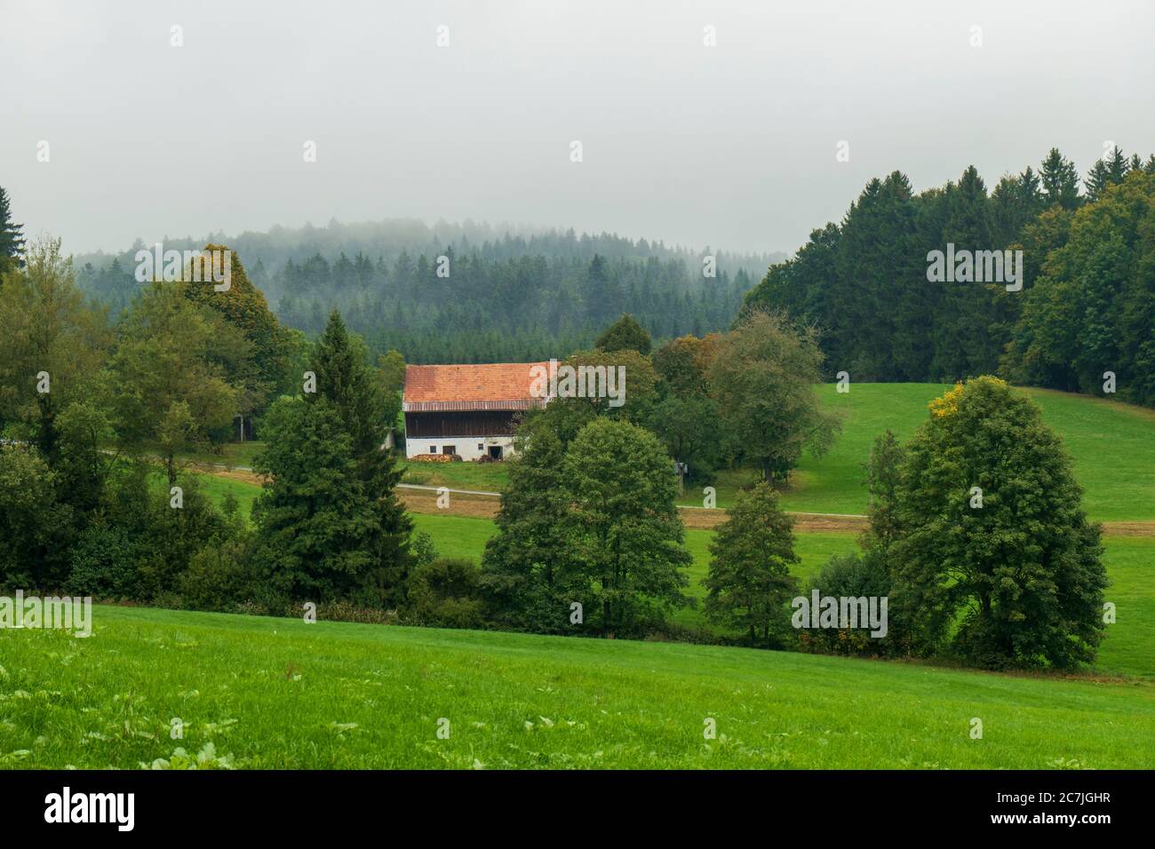 Landschaft und Bauernhof, bei Reischlhof zwischen Sonnen und Wegscheid, Bayerischer Wald, Bayern, Deutschland Stockfoto