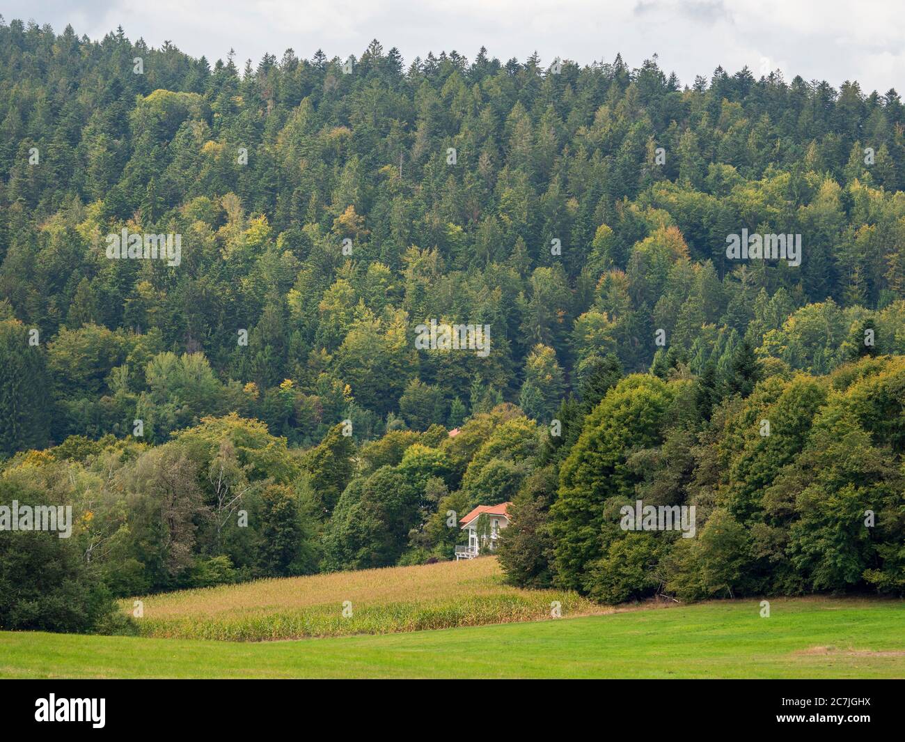 Landschaft und Wald, bei Reischlhof zwischen Sonnen und Wegscheid, Bayerischer Wald, Bayern, Deutschland Stockfoto