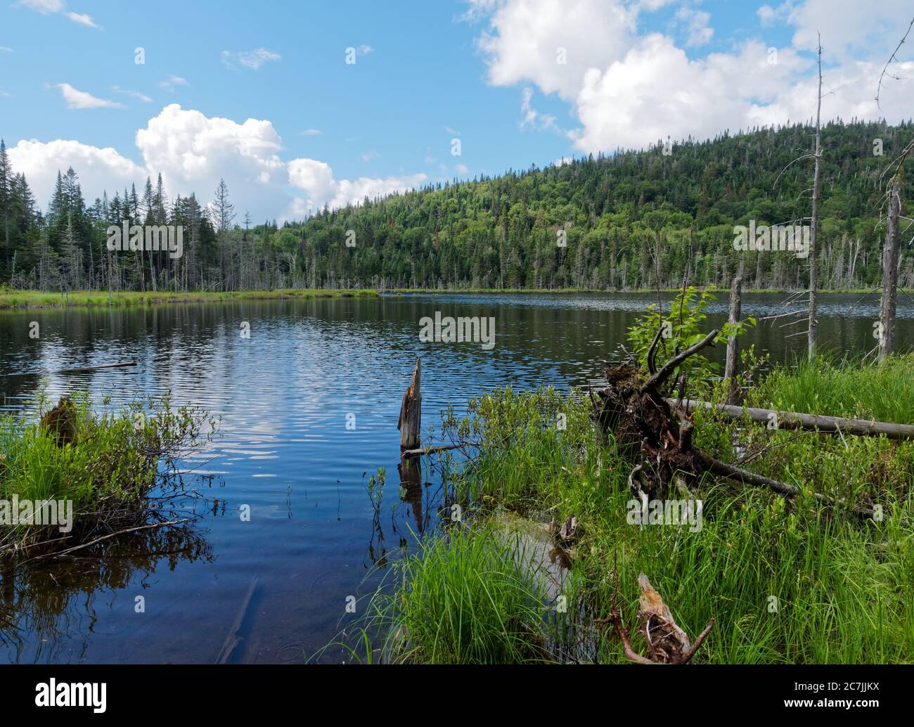 Lake Lezard, natura See in Saint-Donat, Quebec, Kanada Stockfoto