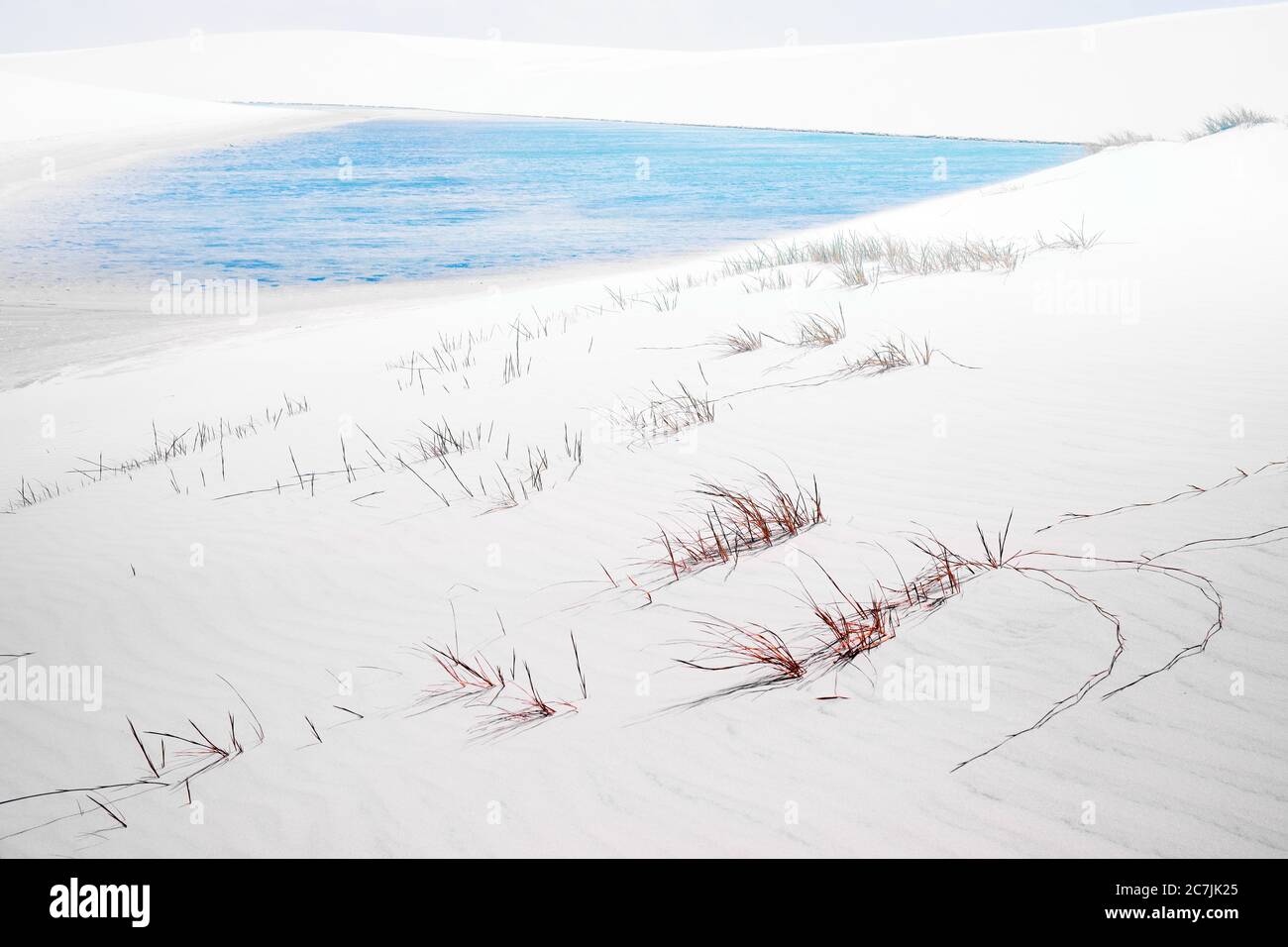 Teiche mit Regenwasser in weißen Dünen, Lencois Maranhenses Nationalpark, Brasilien, Atlantischer Ozean gefangen Stockfoto