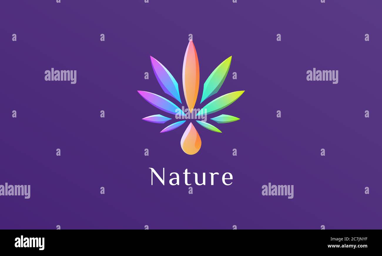Glänzende Cannabisblätter und Wassertropfen-Logo-Design Stock Vektor