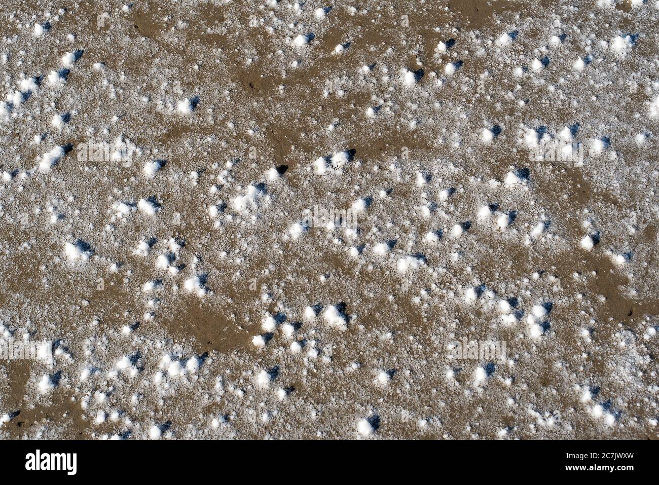 Salzgetränkte Erde in der Nähe des Lake Elton. Wolgograd Region Stockfoto