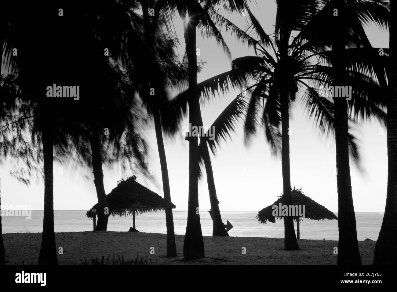 Sonnenaufgang am Strand Paje, Parasols Sonne hinterleuchtet, Sansibar, Tansania Stockfoto