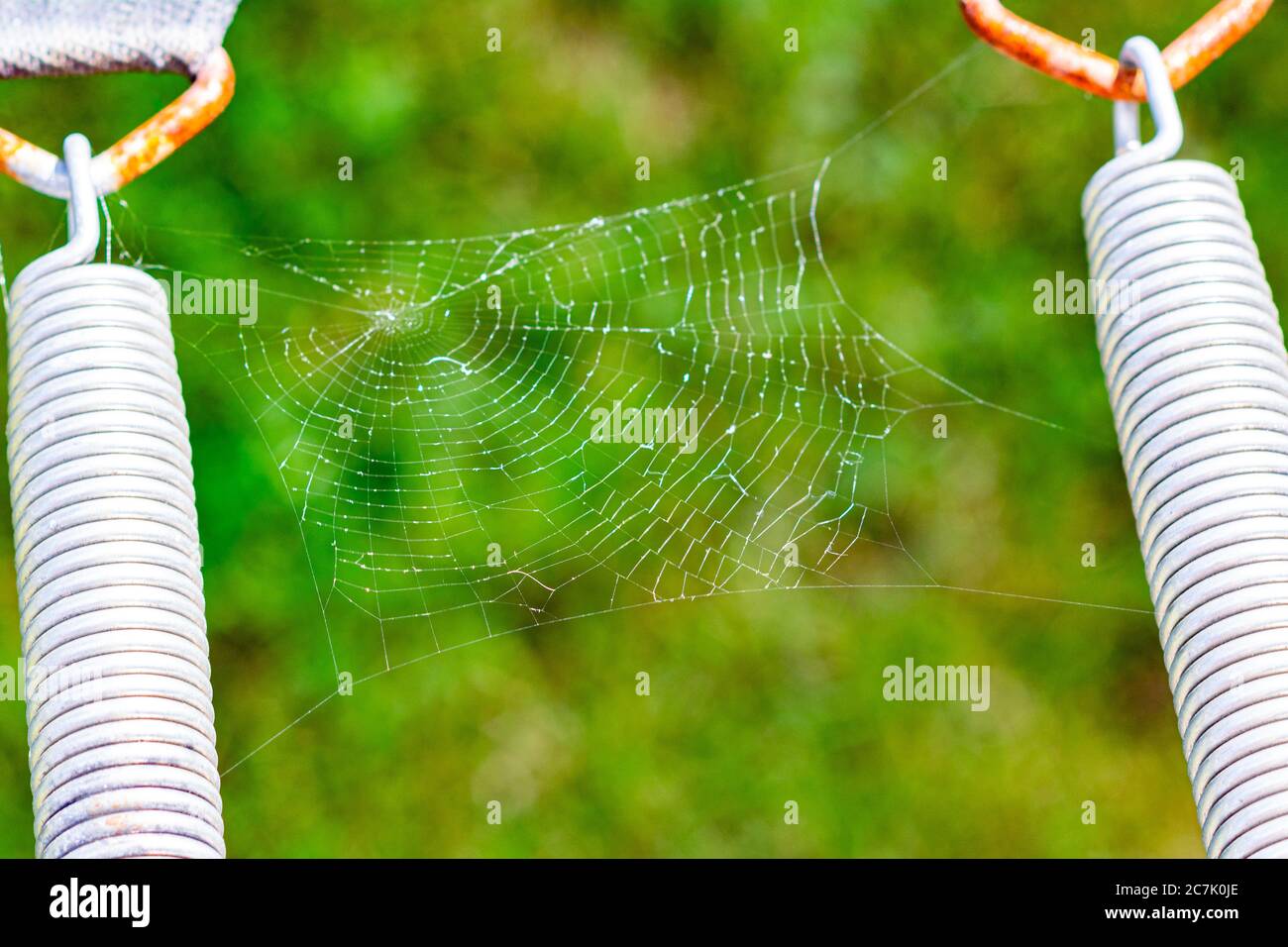 Spinnennetz mit verschwommenem grünen Hintergrund. Illustration, frisches Konzept. Kann als Illustration Hintergrund, frisch, Konzept verwendet werden Stockfoto