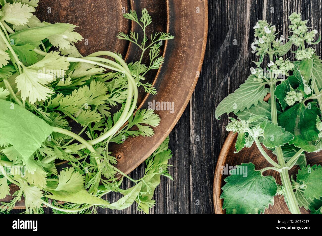 Koriander und Minze auf Tontellern, auf einem alten Holztisch, Draufsicht Stockfoto