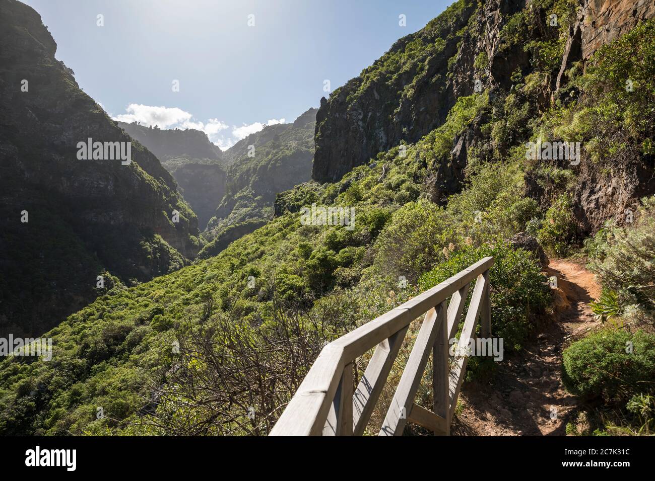 Wanderweg im Barranco de Ruiz bei San Juan de la Rambla, Teneriffa, Kanarische Inseln, Spanien Stockfoto