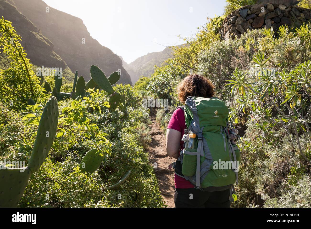 Wanderin im Barranco de Ruiz bei San Juan de la Rambla, Teneriffa, Kanarische Inseln, Spanien Stockfoto