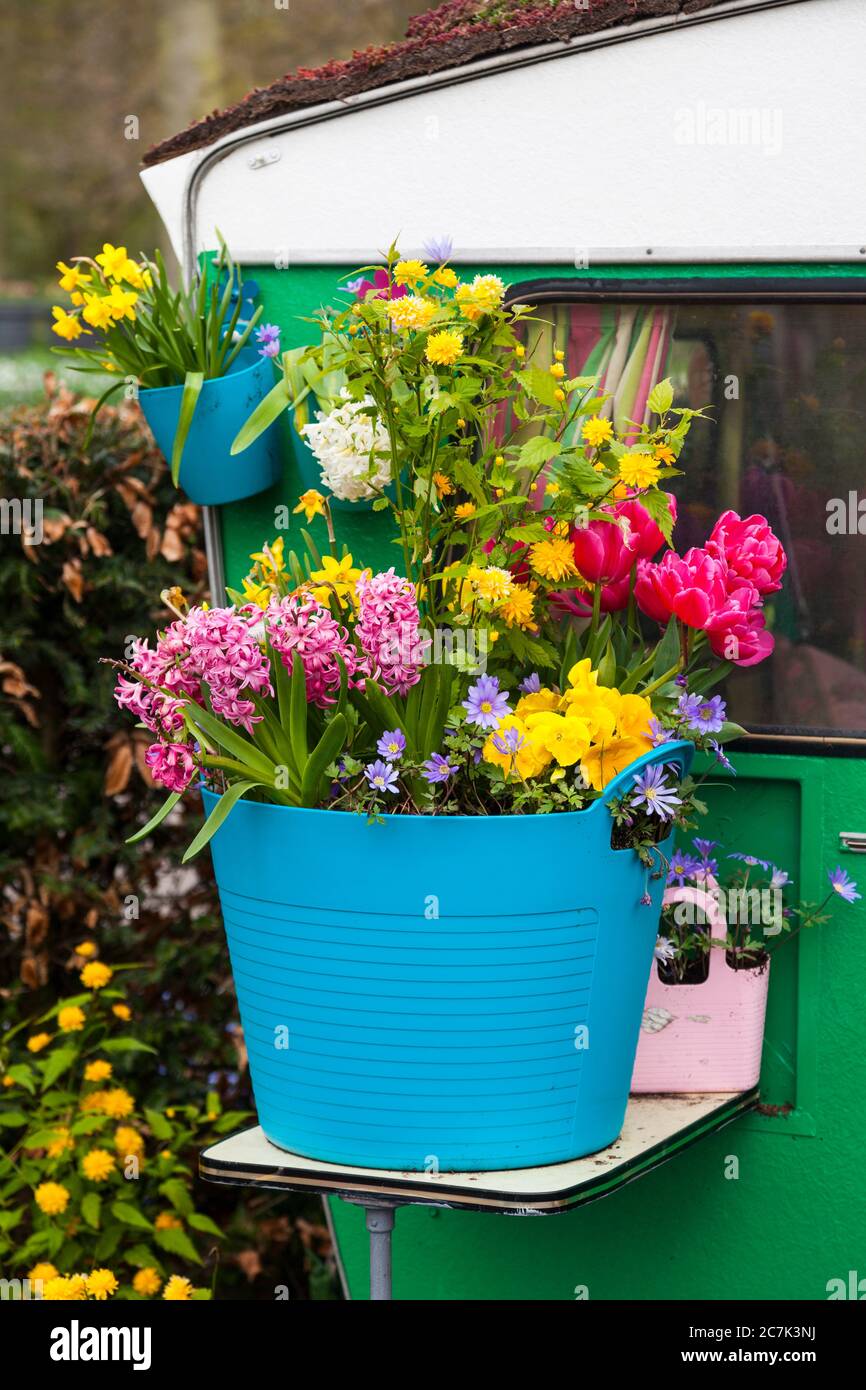 Garten, Frühlingsblumen Stockfoto