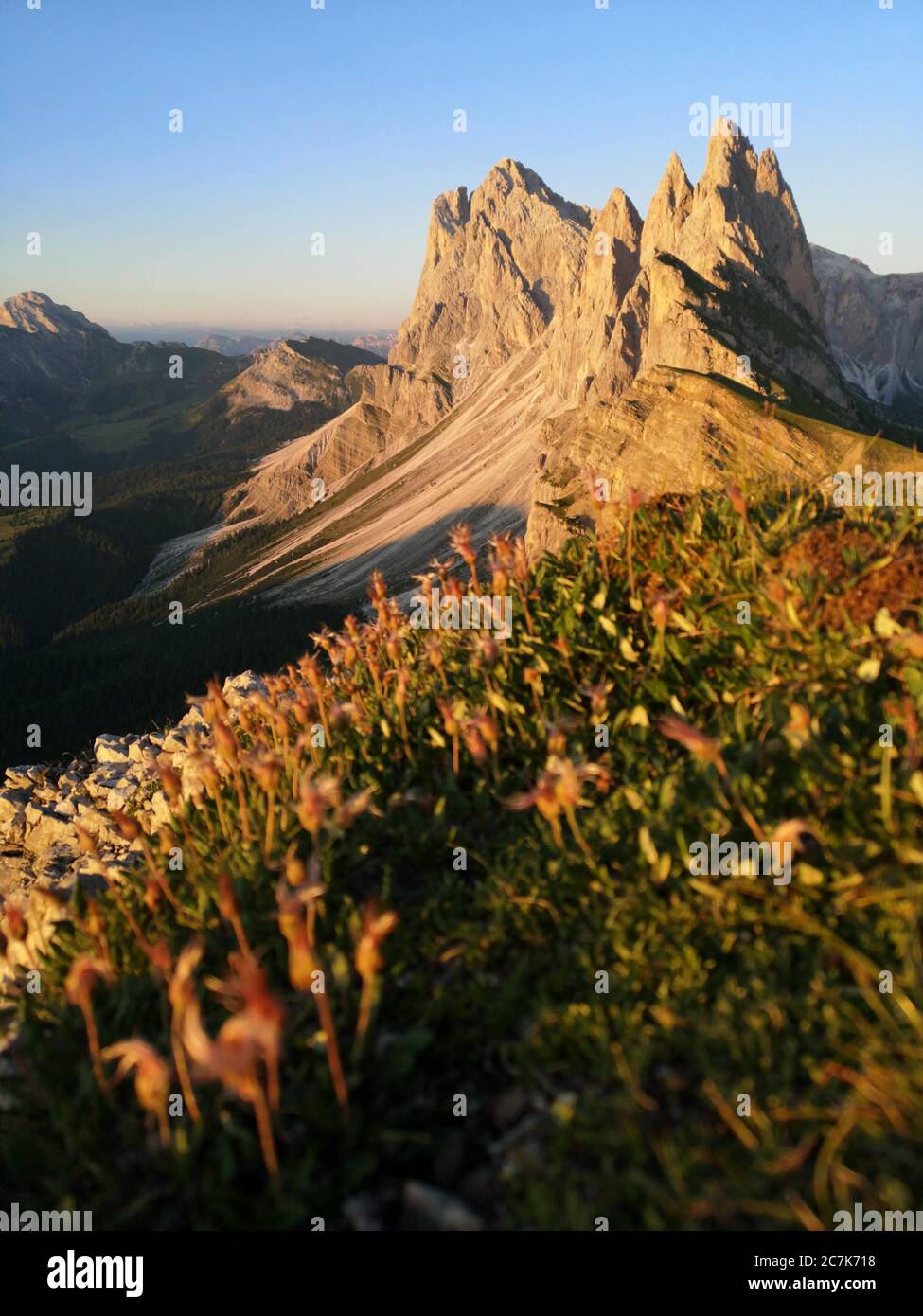 Seceda und Geisler im Abendlicht, nahe am Boden, Stockfoto