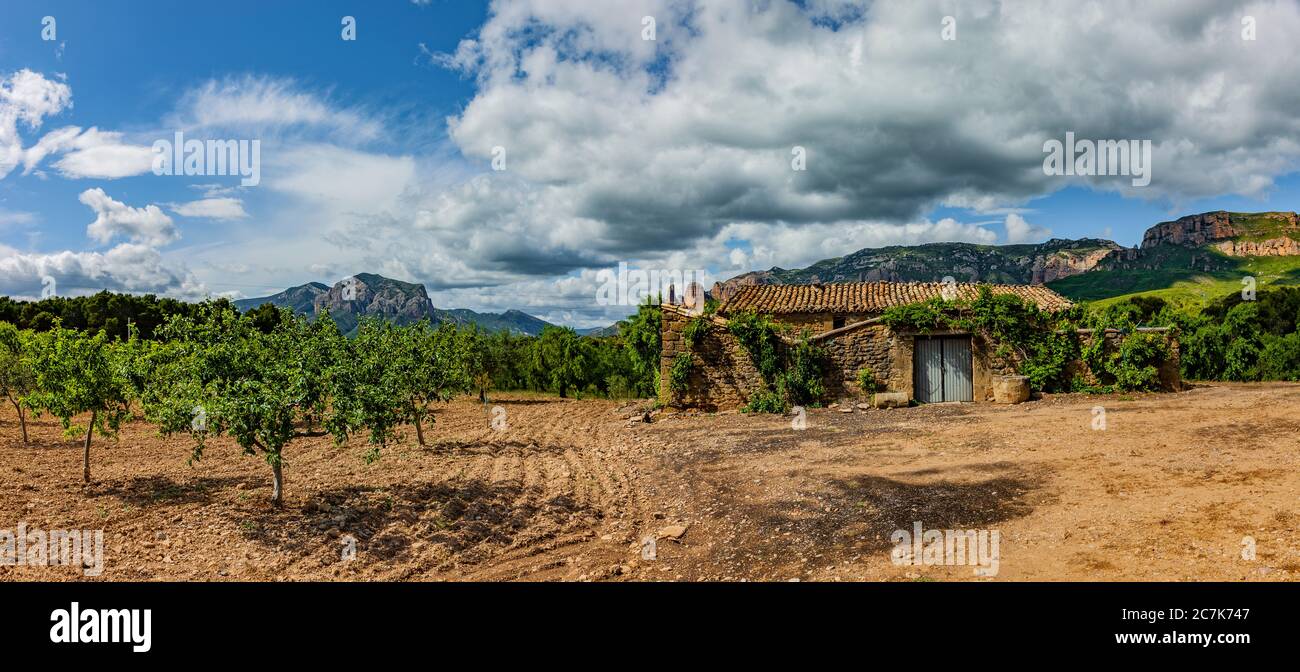 Landschaft mit Obst und Olivenbäumen in Aragon, Sapnia Stockfoto