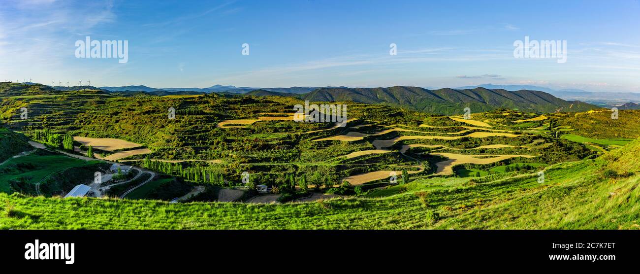 Blick auf die Weinberge in Navarra, Spanien Stockfoto