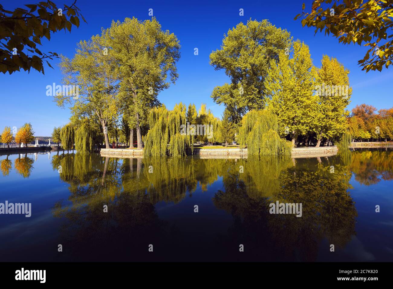 Ruhiger Teich mit üppigem Green Woodland Park in Sunshine. Spiegelung von Bäumen im Wasser Stockfoto