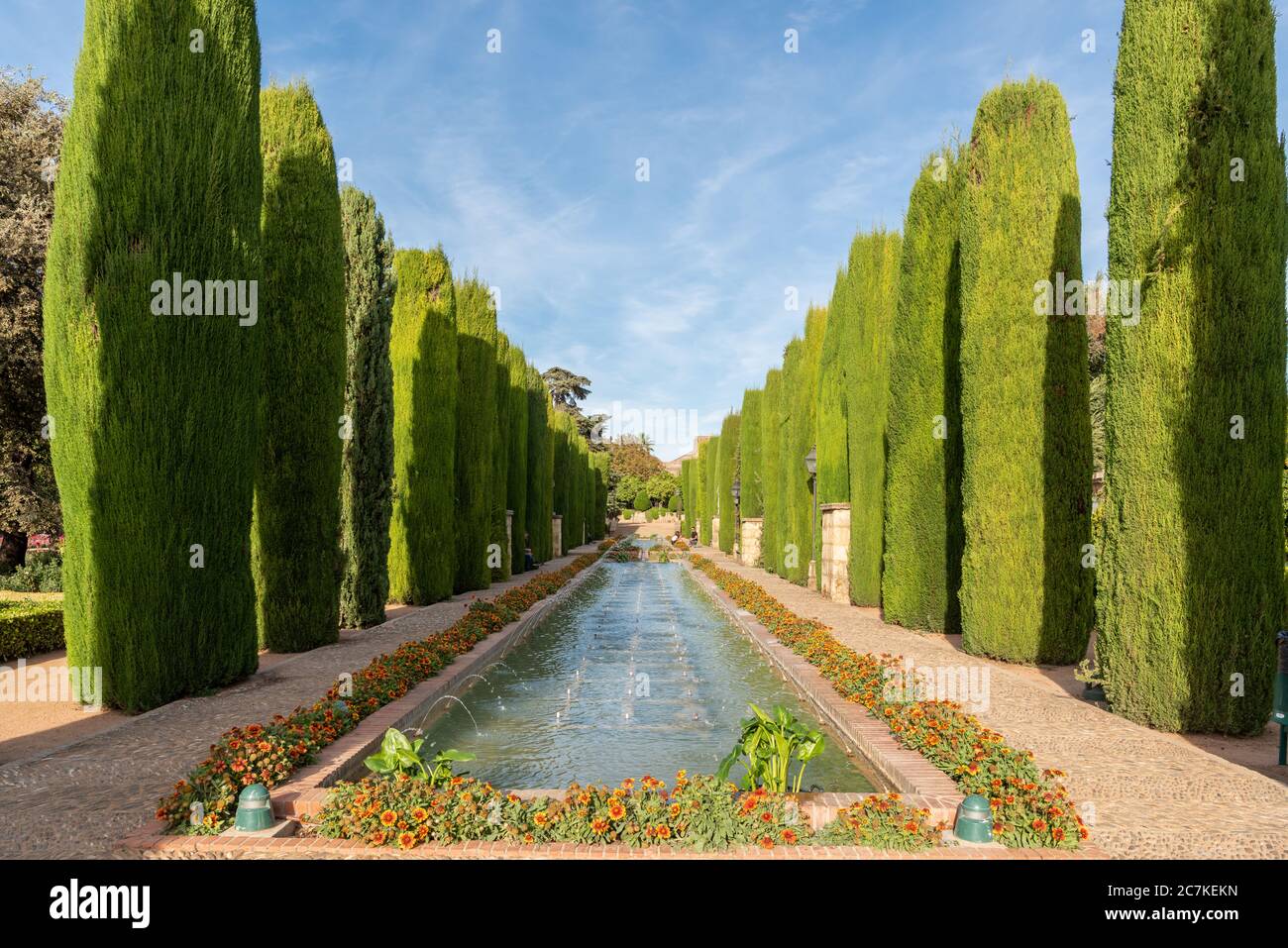 Hohe Zypressen säumen die Teiche der Promenade der Könige in den Jardines del Alcázar im historischen Alcázar de los Reyes Cristianos in Córdoba Stockfoto