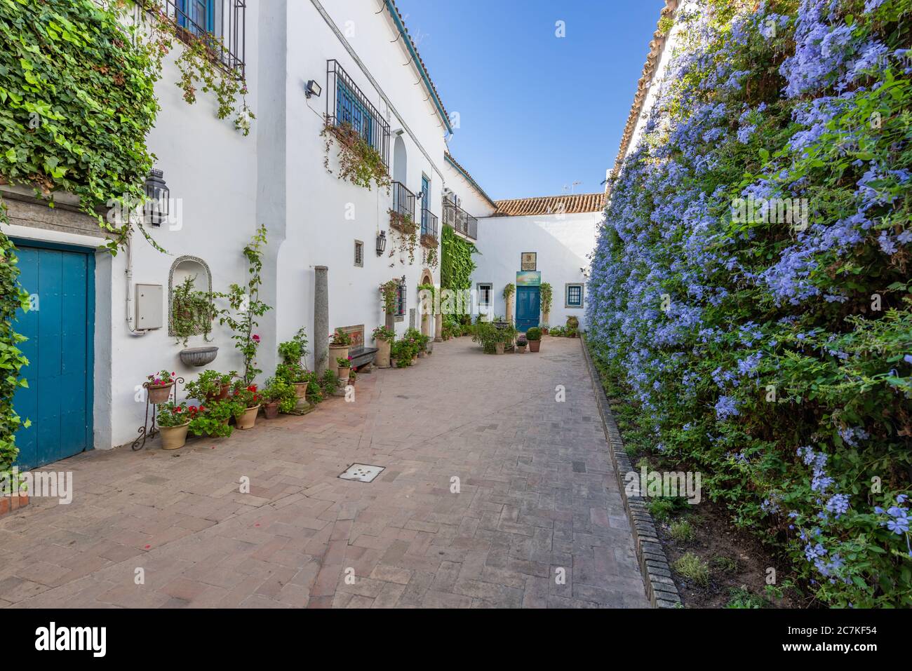 Patio de los Jardineros mit seinem vertikalen Garten von Plumbago gegenüber den weiß getünchten Wänden des Palacio de Viana Stockfoto