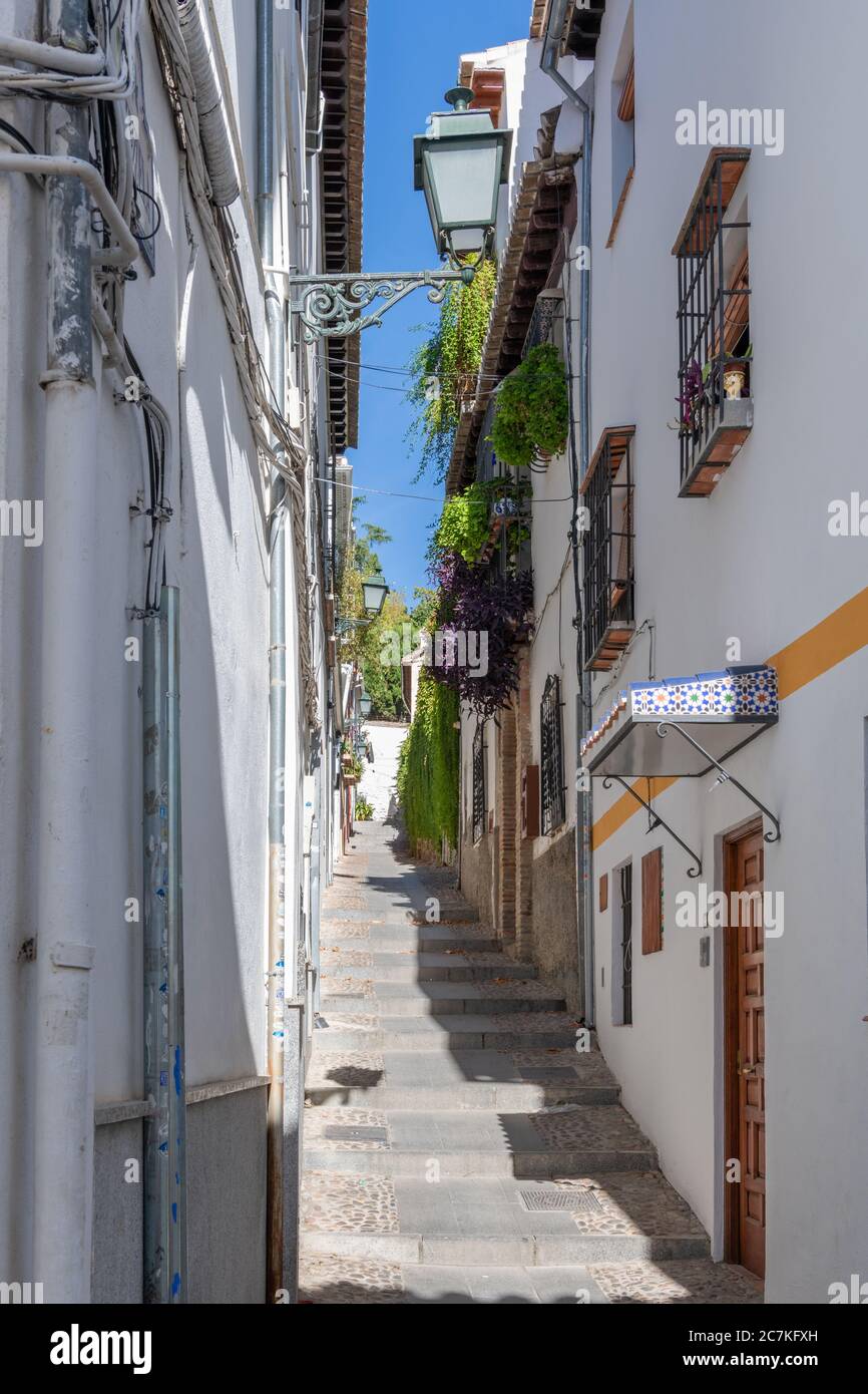 Grüne Blätter umgrenzen die schmale Albaicin-Gasse der Calle del Horno de Oro im historischen maurischen Viertel von Granada Stockfoto