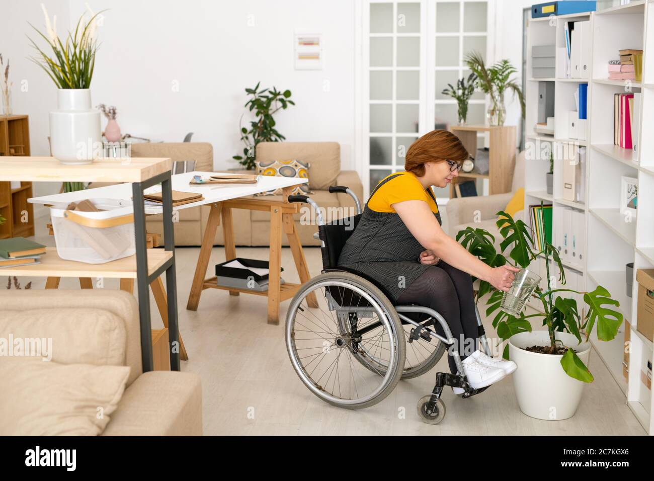 Junge behinderte Frau in Casualwear sitzen im Rollstuhl und Bewässerung grün häusliche Pflanze in weißen Blumentopf auf dem Boden von Bücherregal Stockfoto