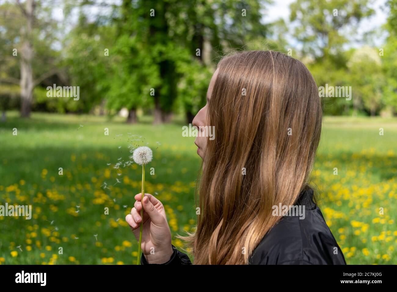 Schulmädchen, Löwenzahn Stockfoto