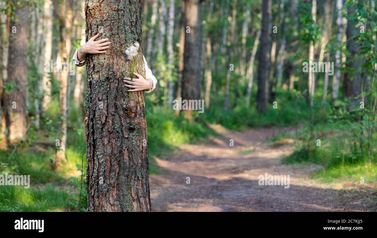 Nahaufnahme der Frau umarmt / umarmt Baumstamm, hält Wildblumen in den Händen, genießt das Leben, saubere frische Luft im Wald. Ökotourismus. Speicherplatz kopieren Stockfoto