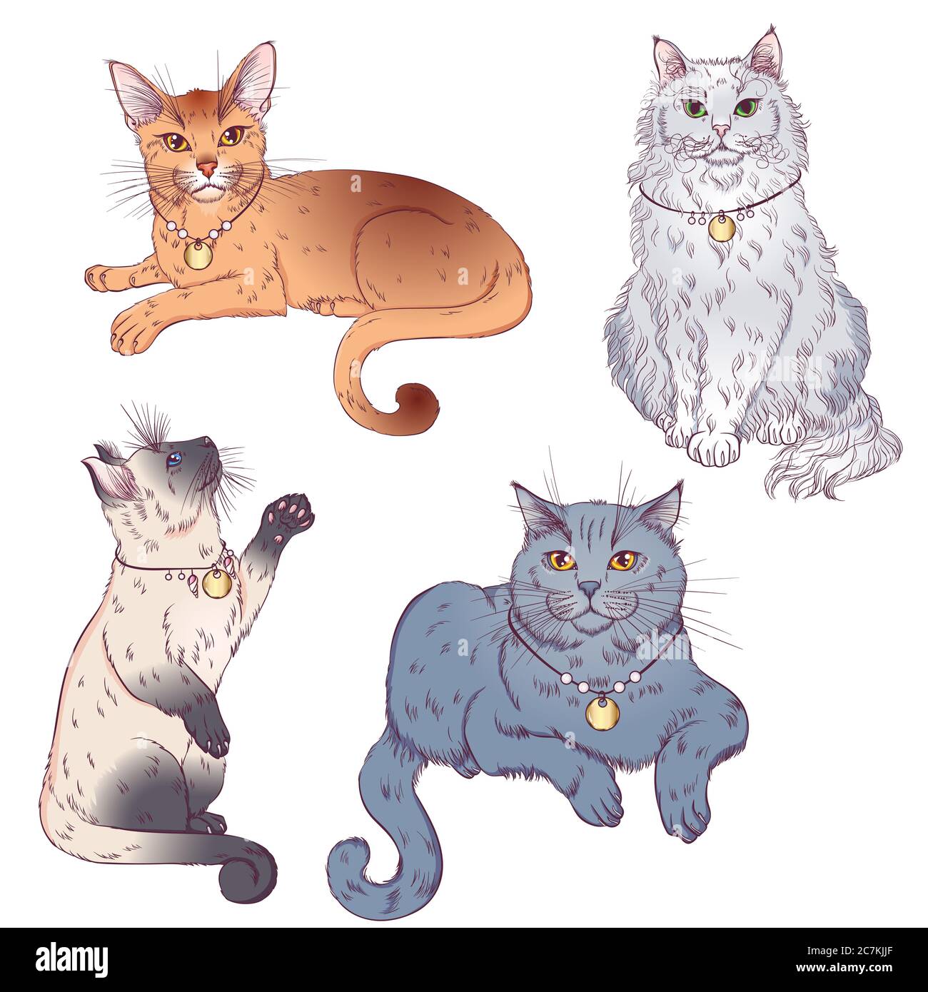 Set von niedlichen Cartoon Kätzchen oder Katzen mit verschiedenen farbigen Fell und Markierungen stehen, sitzen. Vektorgrafiken isoliert auf weißem Hintergrund. Kat Stockfoto