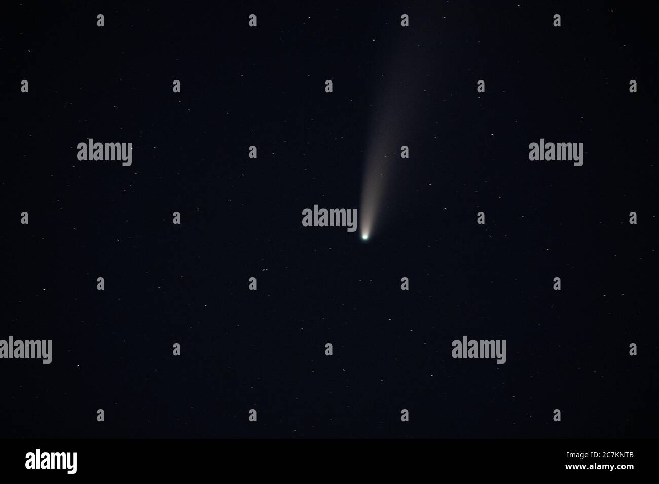 Komet Neowise C/2020 F3 leuchtet hell im Dunklen Nacht Sternenhimmel Komet in EINER Entfernung von 104 Millionen Kilometern Stockfoto