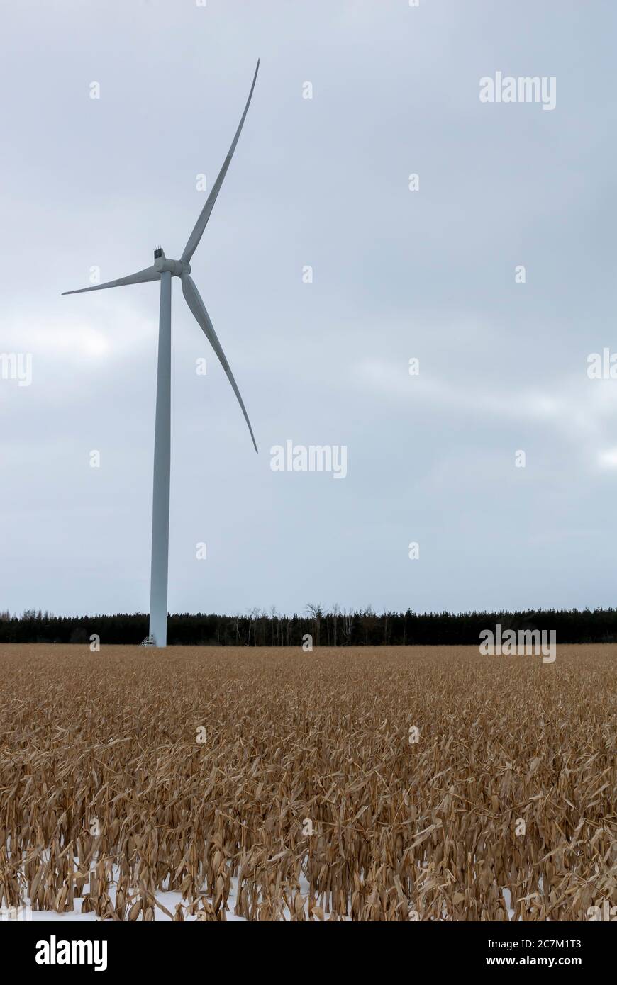 Vertikale Aufnahme einer Windenergieanlage auf dem Feld mit Ein trübes graues Himmel im Hintergrund Stockfoto