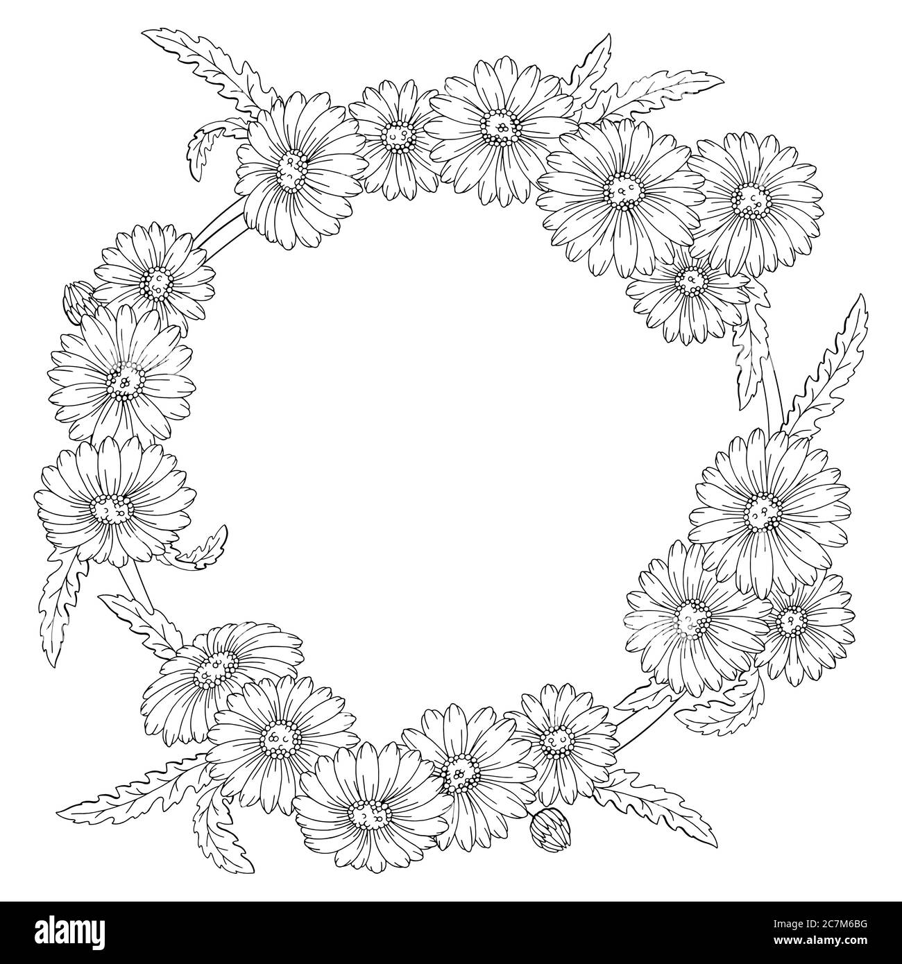 Kamille Blumenkranz Grafik schwarz weiß isoliert Skizze Illustration Vektor Stock-Vektorgrafik