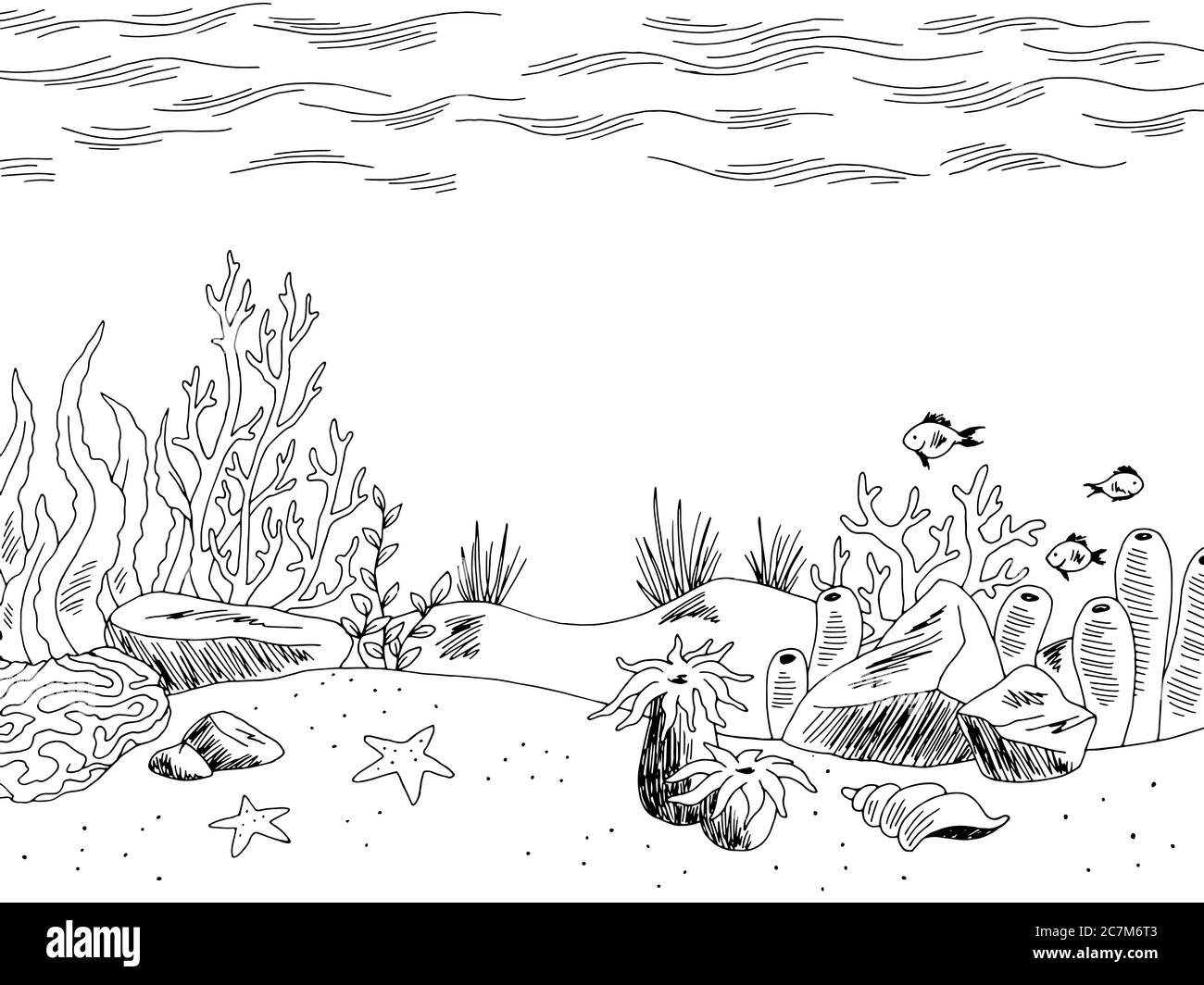 Unterwassergrafik Meer schwarz weiß Skizze Illustration Vektor Stock Vektor