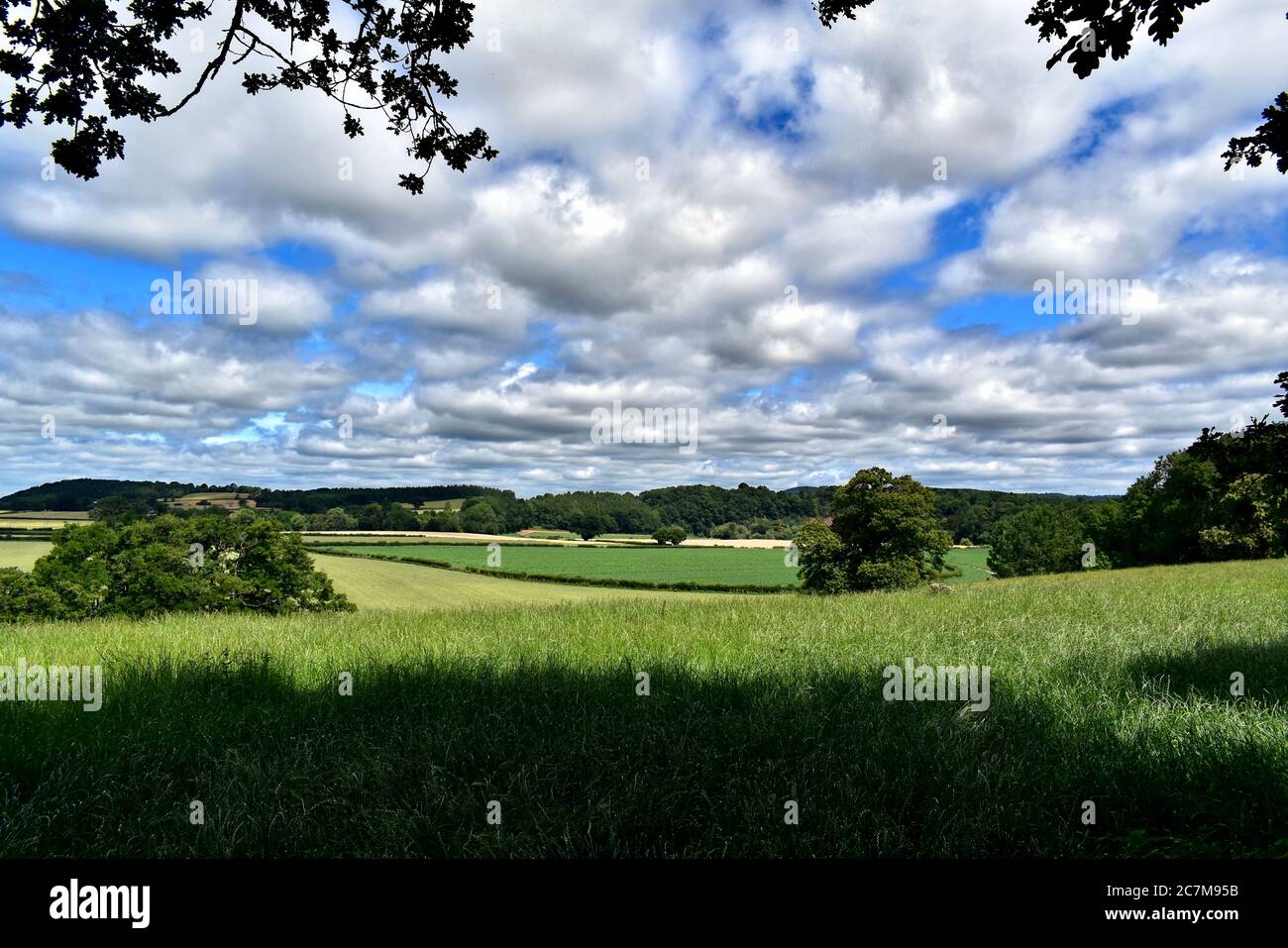 Das Wye-Tal bei Bredwardine. Stockfoto