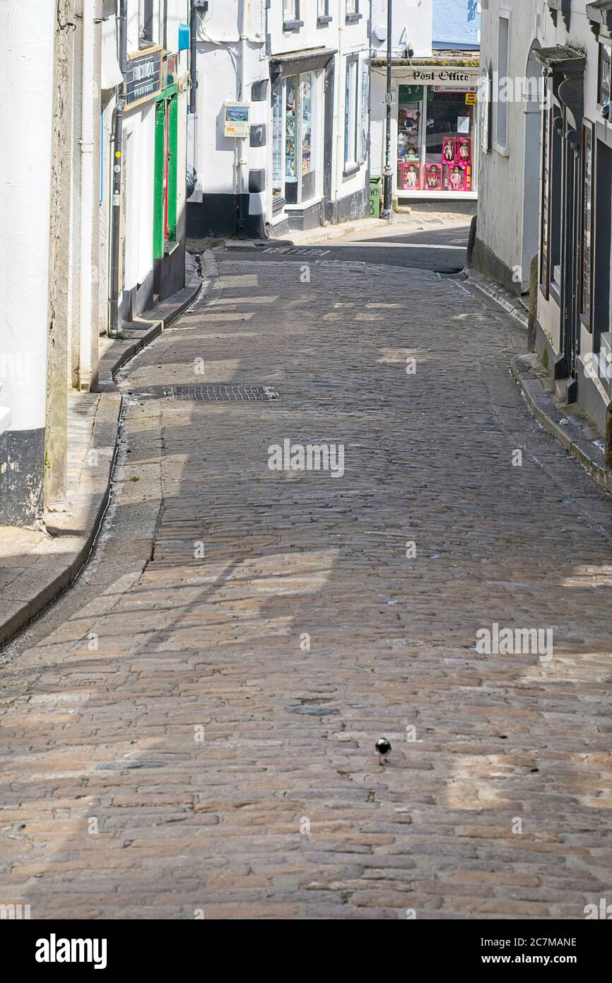 COVID19 März 2020 Lockdown Stay at Home Leere gepflasterte Straße Im Einkaufsviertel profitiert der kleine Vogel allein auf der Straße Die Leere genießen Stockfoto