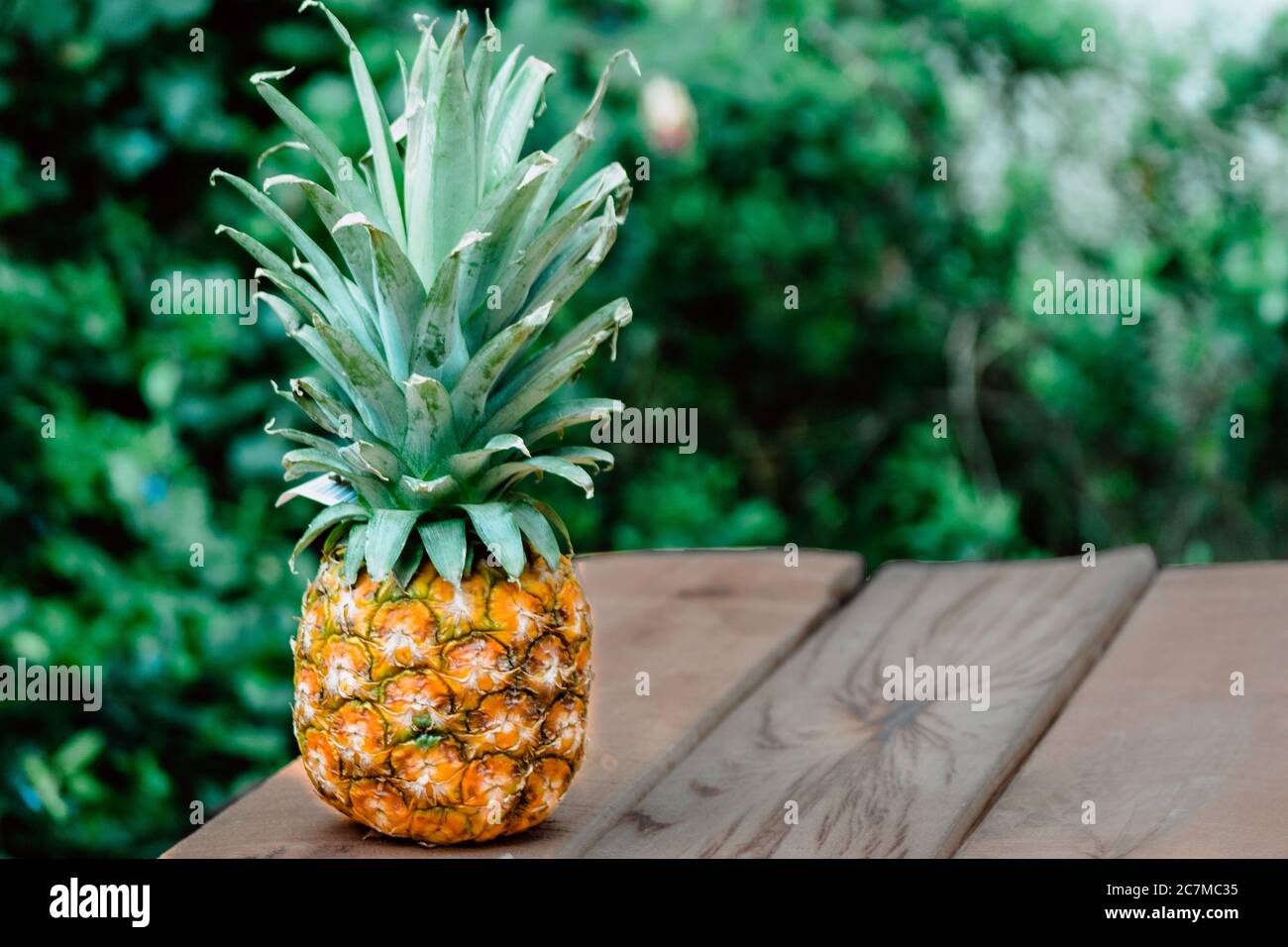 Frisch gepflückte Ananas auf einem Holztisch Stockfoto