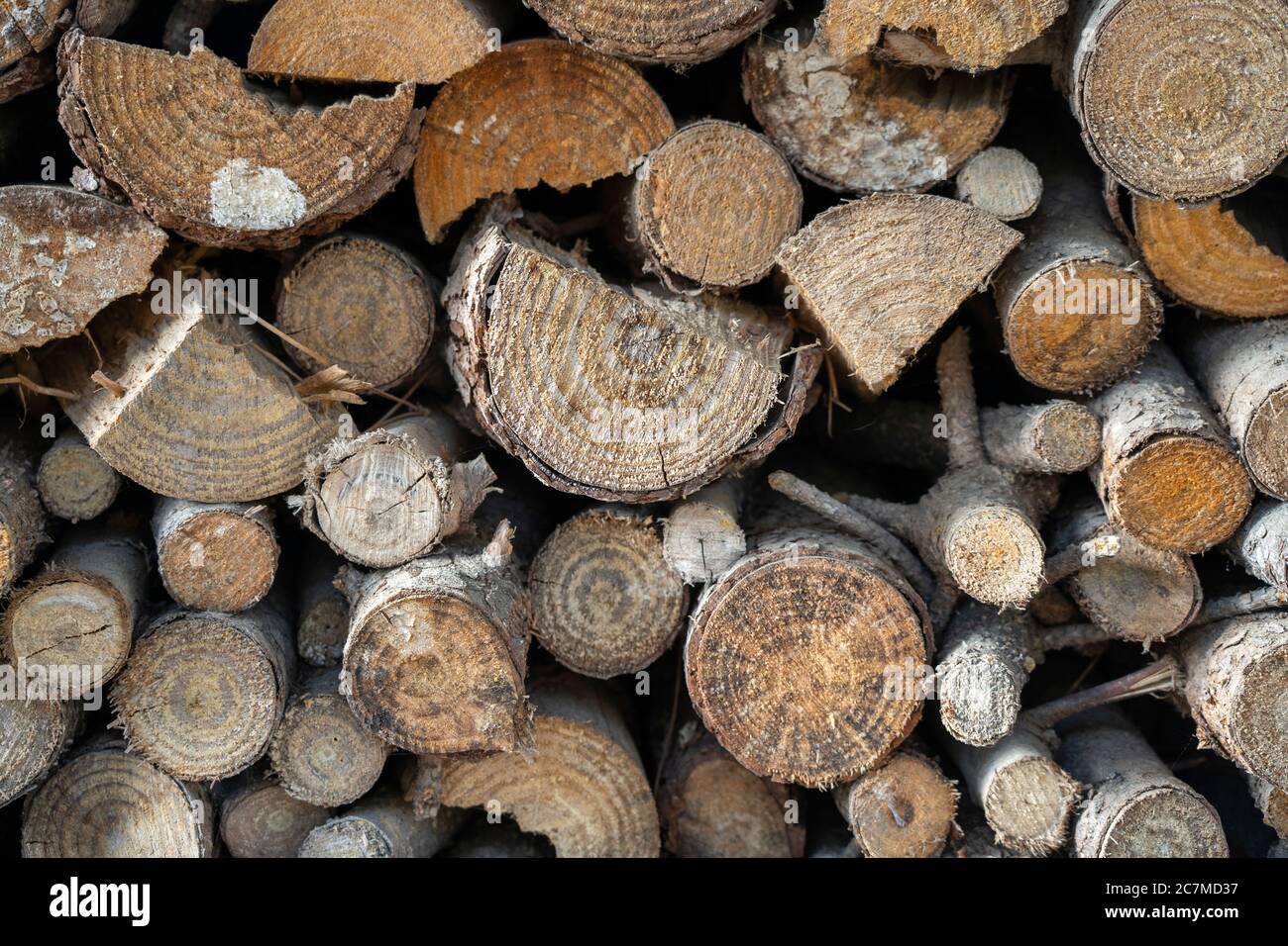 Nahaufnahme eines Holzstapels Stockfoto