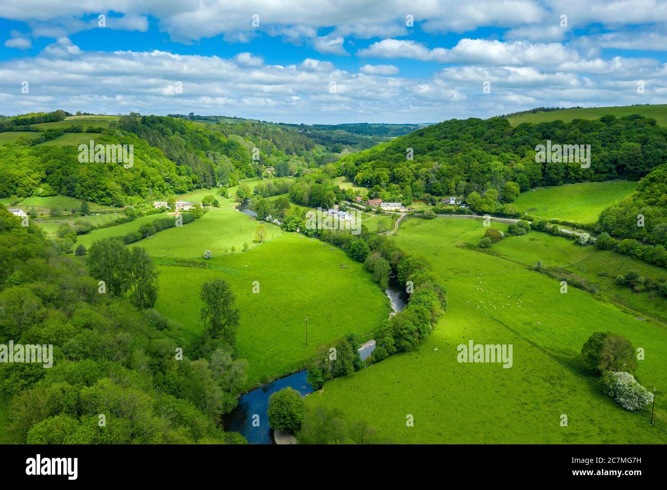 Frühling in Devon bei Tiverton, Devon, England, Vereinigtes Königreich, Europa Stockfoto