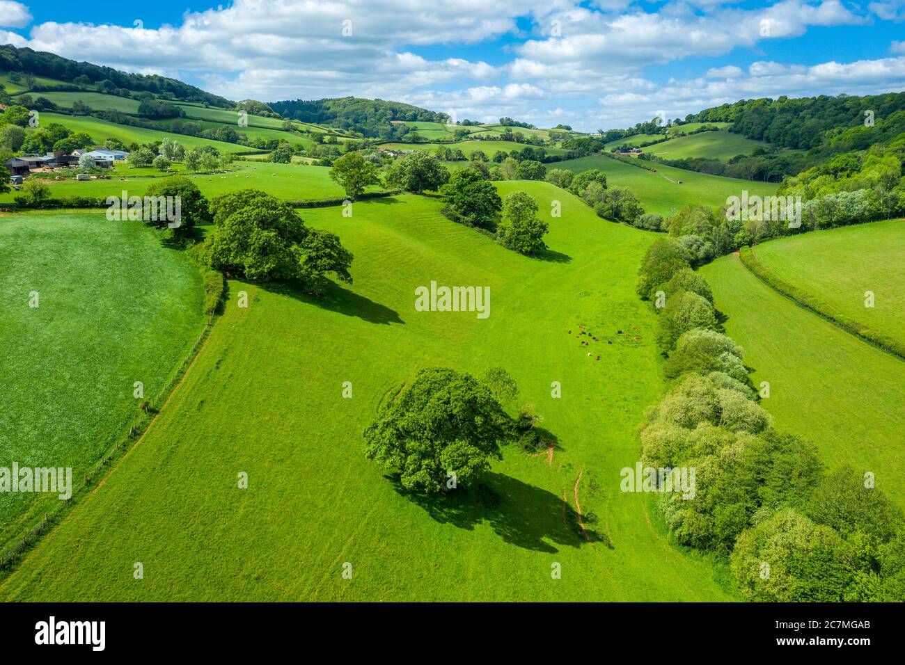 Frühling in Devon bei Tiverton, Devon, England, Vereinigtes Königreich, Europa Stockfoto