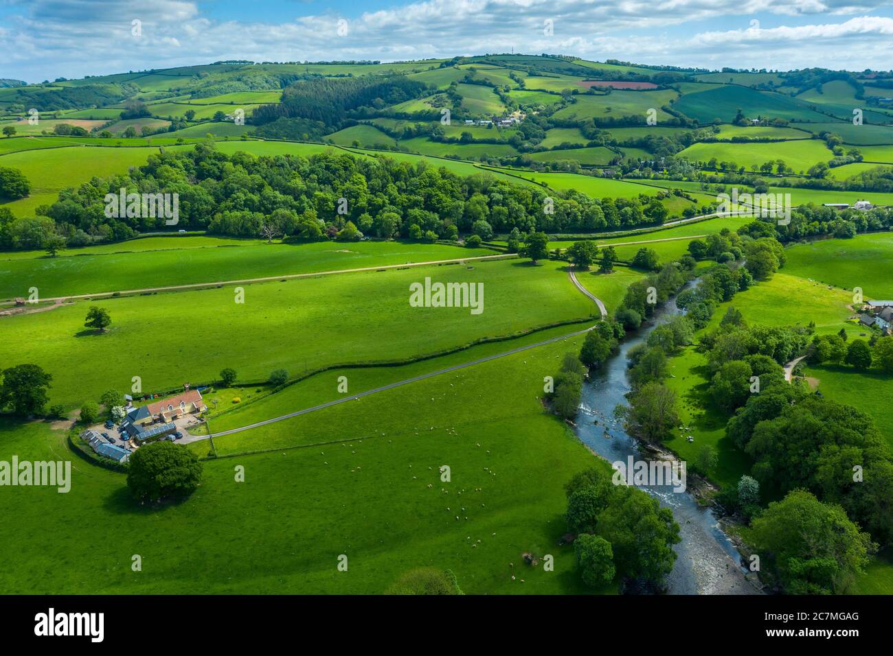 Frühling in Devon bei Tiverton, Devon, England, Vereinigtes Königreich, Europa Stockfoto