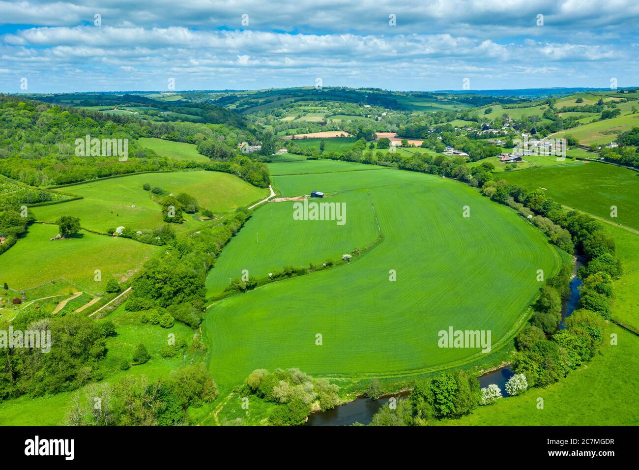 Frühling in Devon bei Tiverton, Devon, England, Vereinigtes Königreich, Europa Stockfoto
