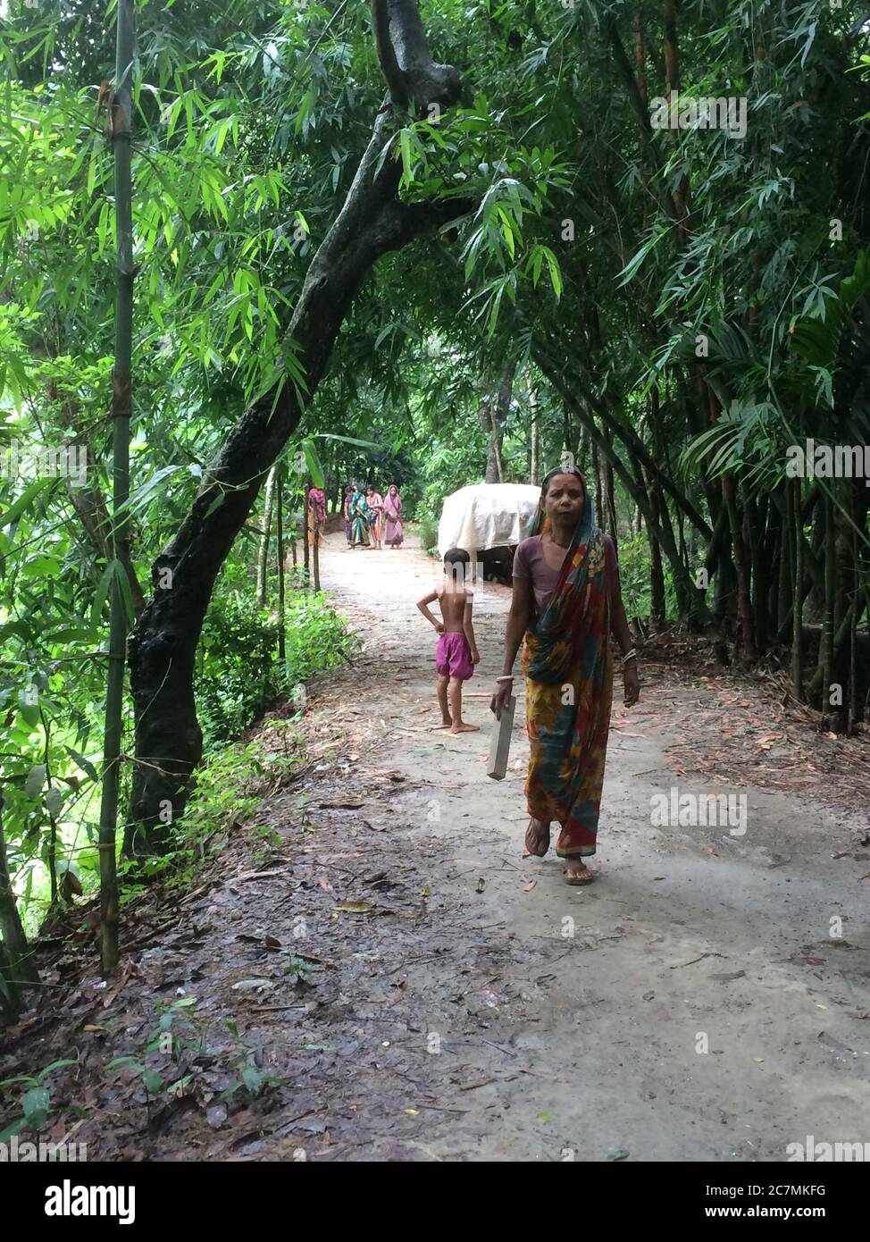 Frau, die auf einem Dorfweg zu ihrem Wohnsitz in Gazipur, Bangladesch, geht. Bäume werden von Dorfbewohnern auf beiden Seiten des Weges für Schatten und Schutz gepflanzt und später wird das Holz geerntet. Stockfoto