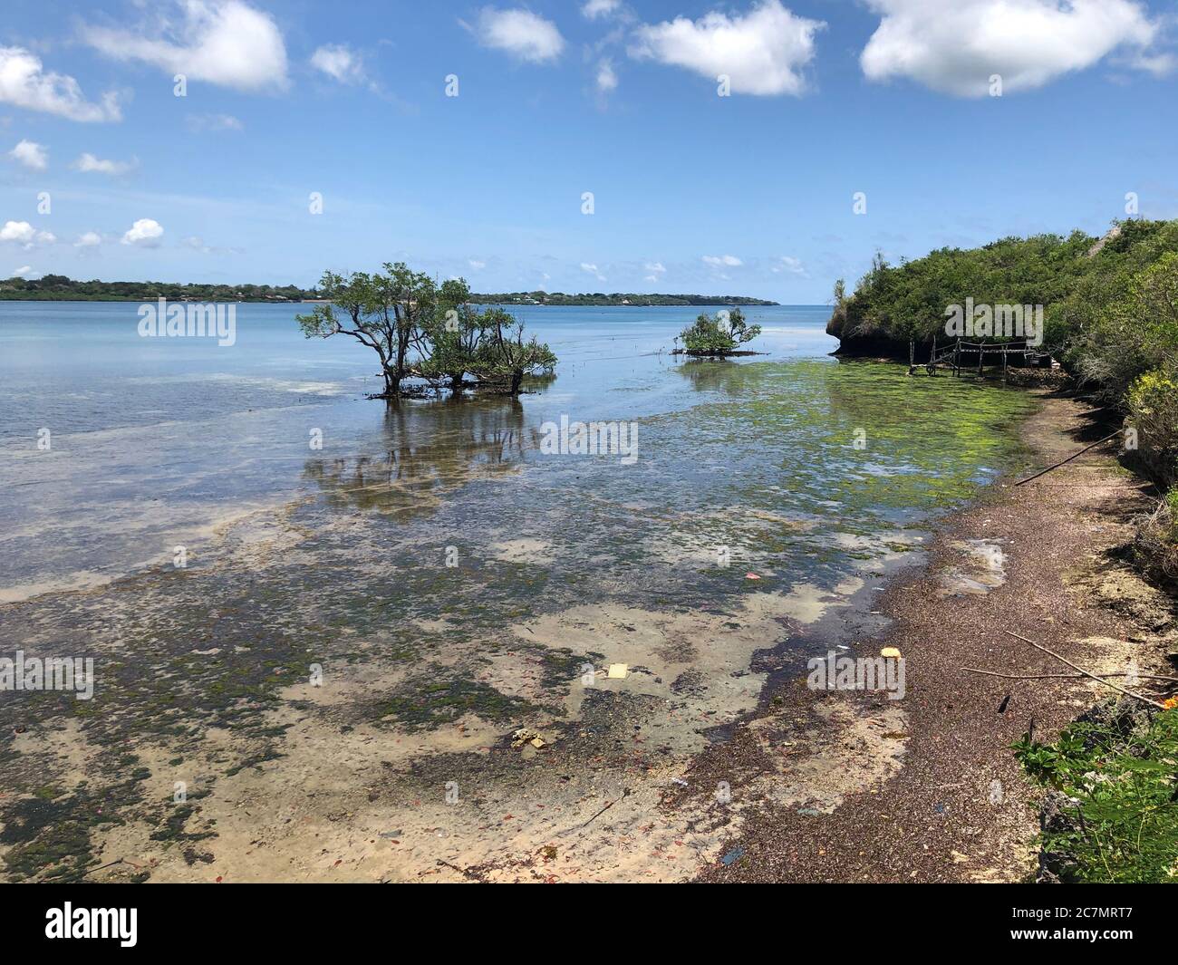 Tropische Landschaft von Wasini Island an der schönen Küste von Kenia, Afrika Stockfoto